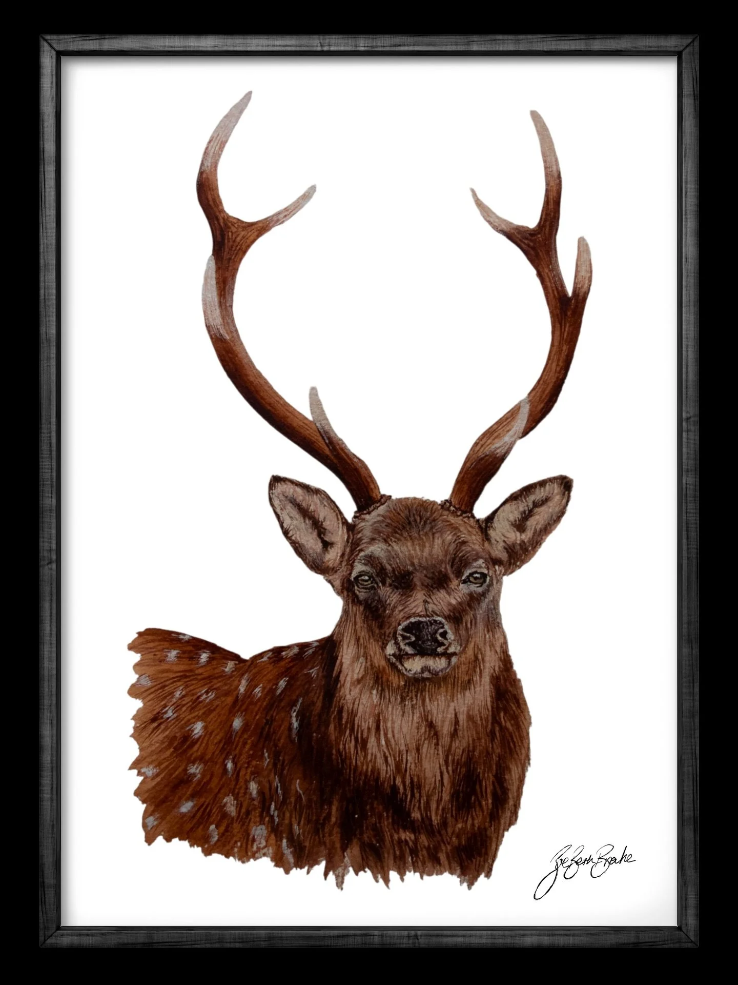 Sika in watercolour!
Soon available as a print and original for sale!