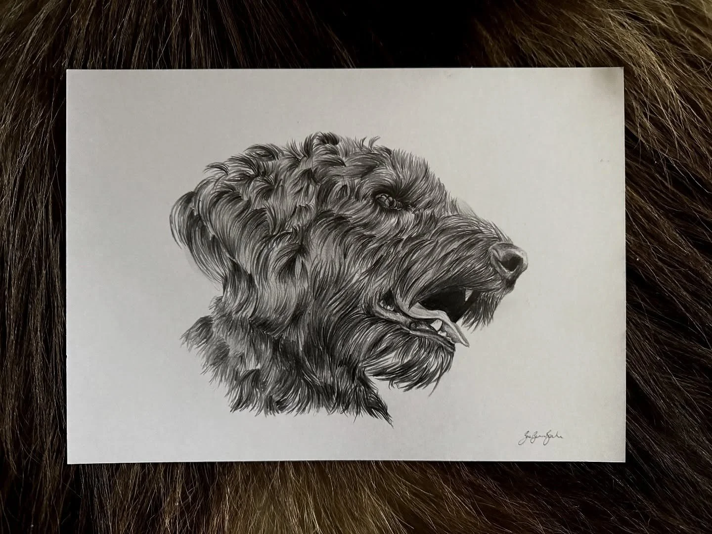 A recent piece of a very wavy haired pooch ✨

#commissions #art #artist #customart #dogportrait #animalportrait