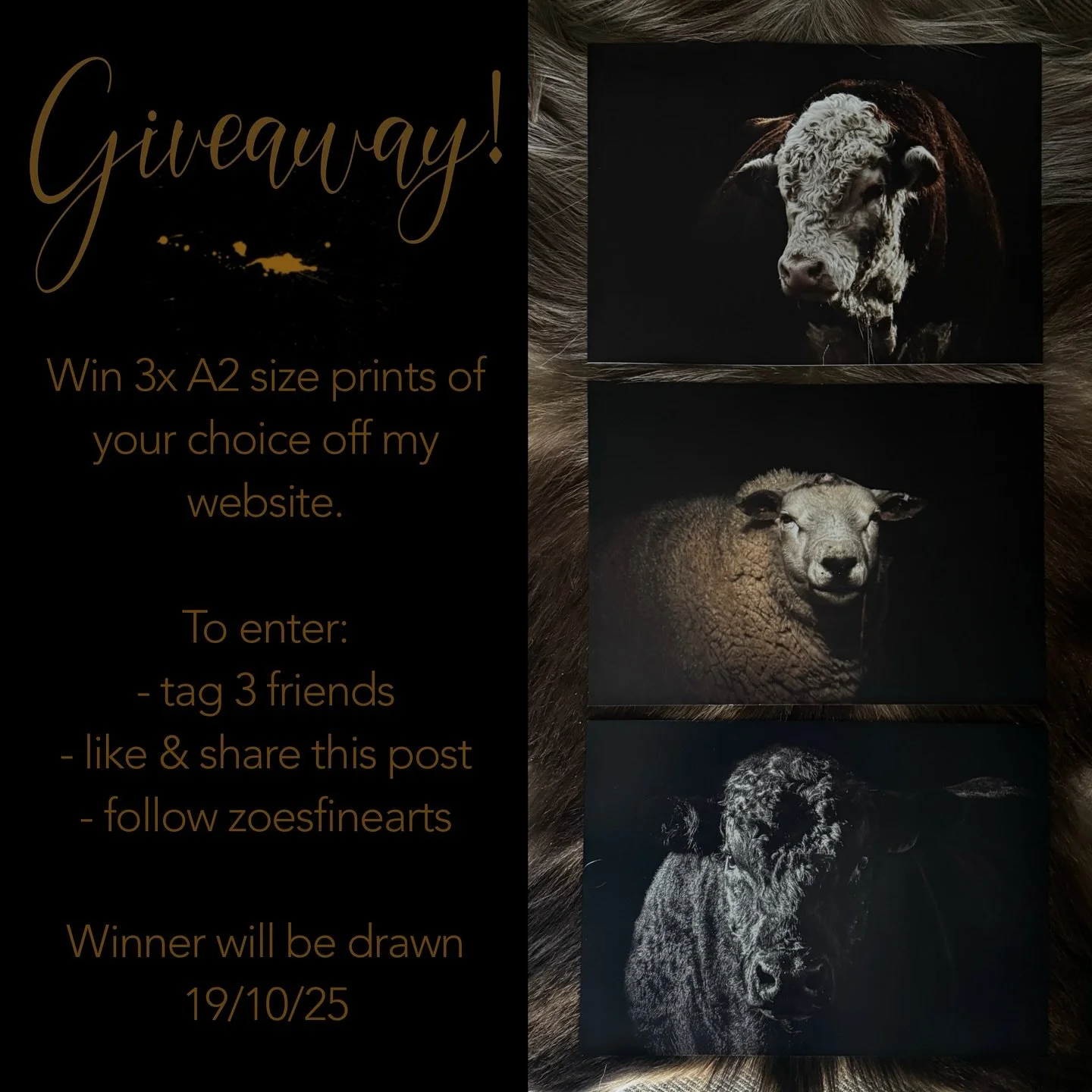 GIVEAWAY!
Win three prints of your choice (photo or watercolour or a mix)!

To enter:
- tag 3 friends
- like and share this post
- follow @zoes_fineart on instagram or facebook

Good luck!