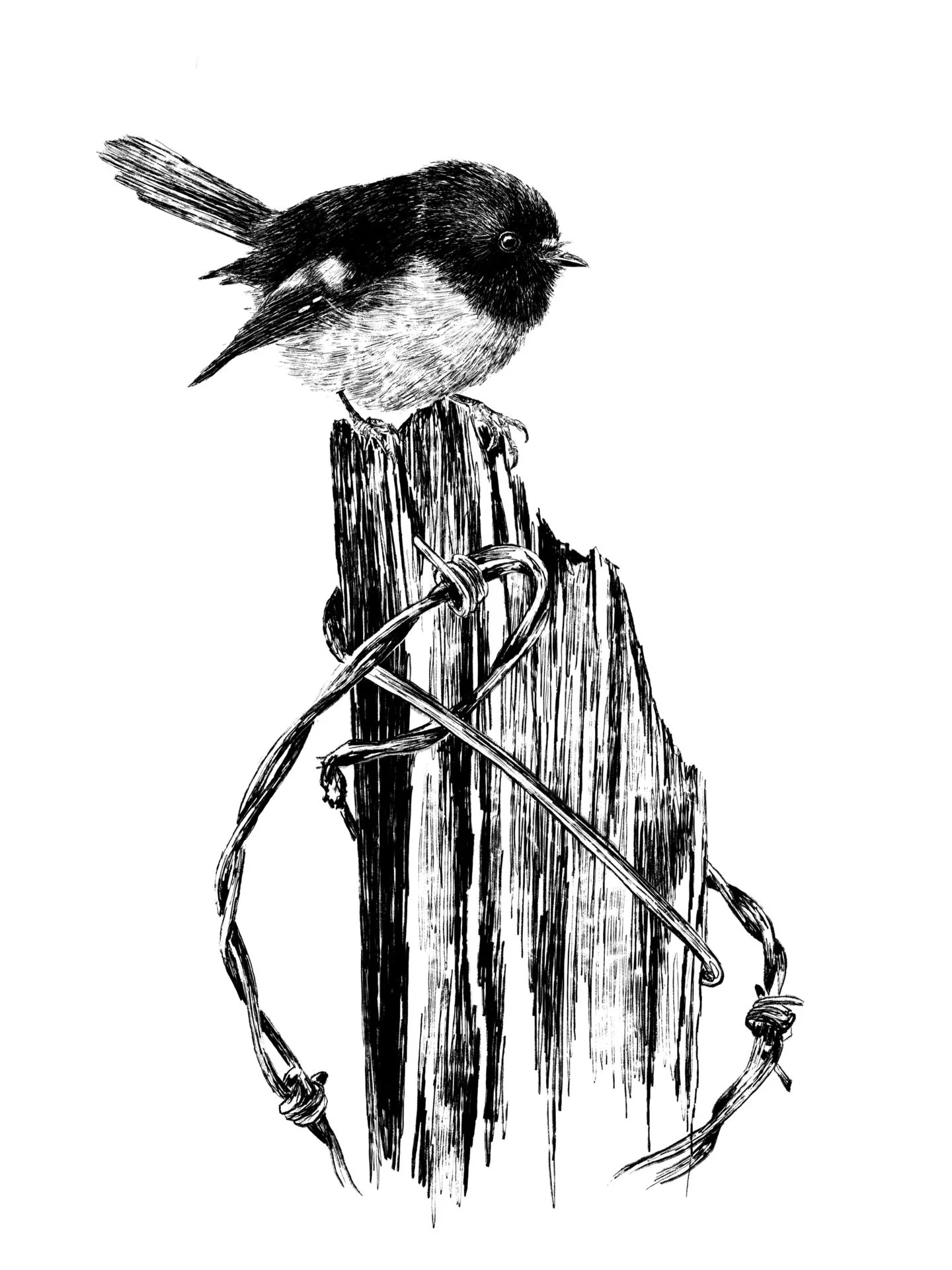 Off to the Remarkables Market this evening for their twilight market! I will have some of these gorgeous prints!

@remarkables_market