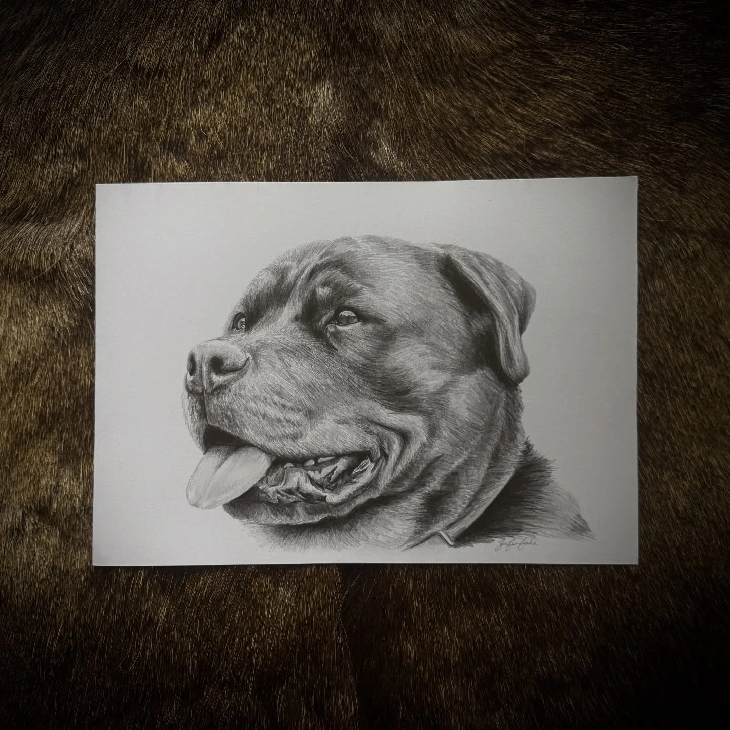 A beautiful doggo drawing as a gift ✨

#rotweiler #dogdrawing #ruralnewzealand #ruralartist #animalartist