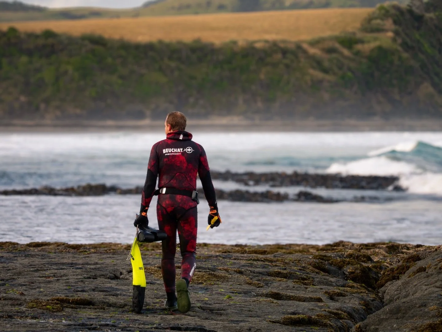 Caitlins, New Zealand 📸 

 @beuchatnz  #diving #photography #beuchat