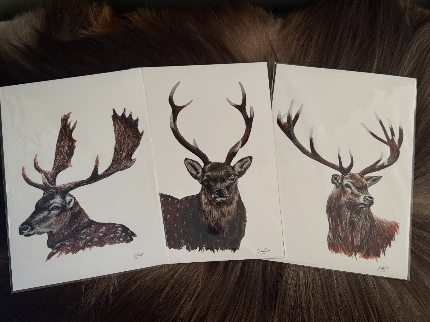 Sorry I have been a bit MIA folks! Had a crazy few weeks and spent a week in Fiordland with the Wapiti Foundation. I can&rsquo;t wait to share some photos with you! But for now, here is a beautiful trio that went out recently ✨