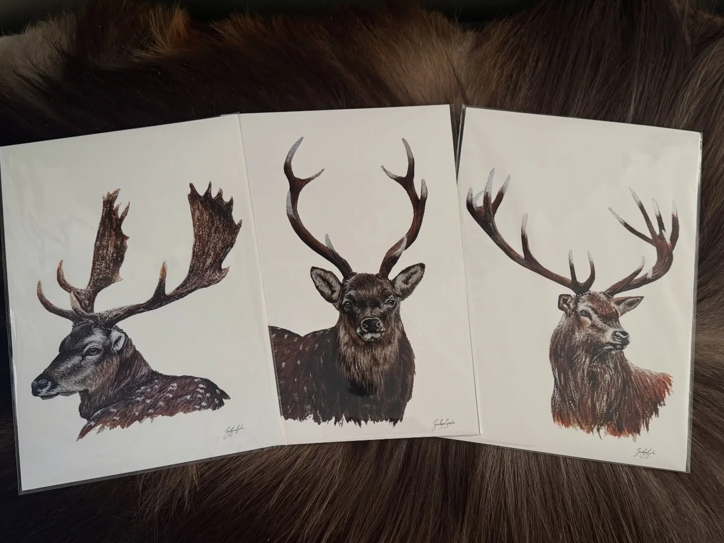 Sorry I have been a bit MIA folks! Had a crazy few weeks and spent a week in Fiordland with the Wapiti Foundation. I can&rsquo;t wait to share some photos with you! But for now, here is a beautiful trio that went out recently ✨