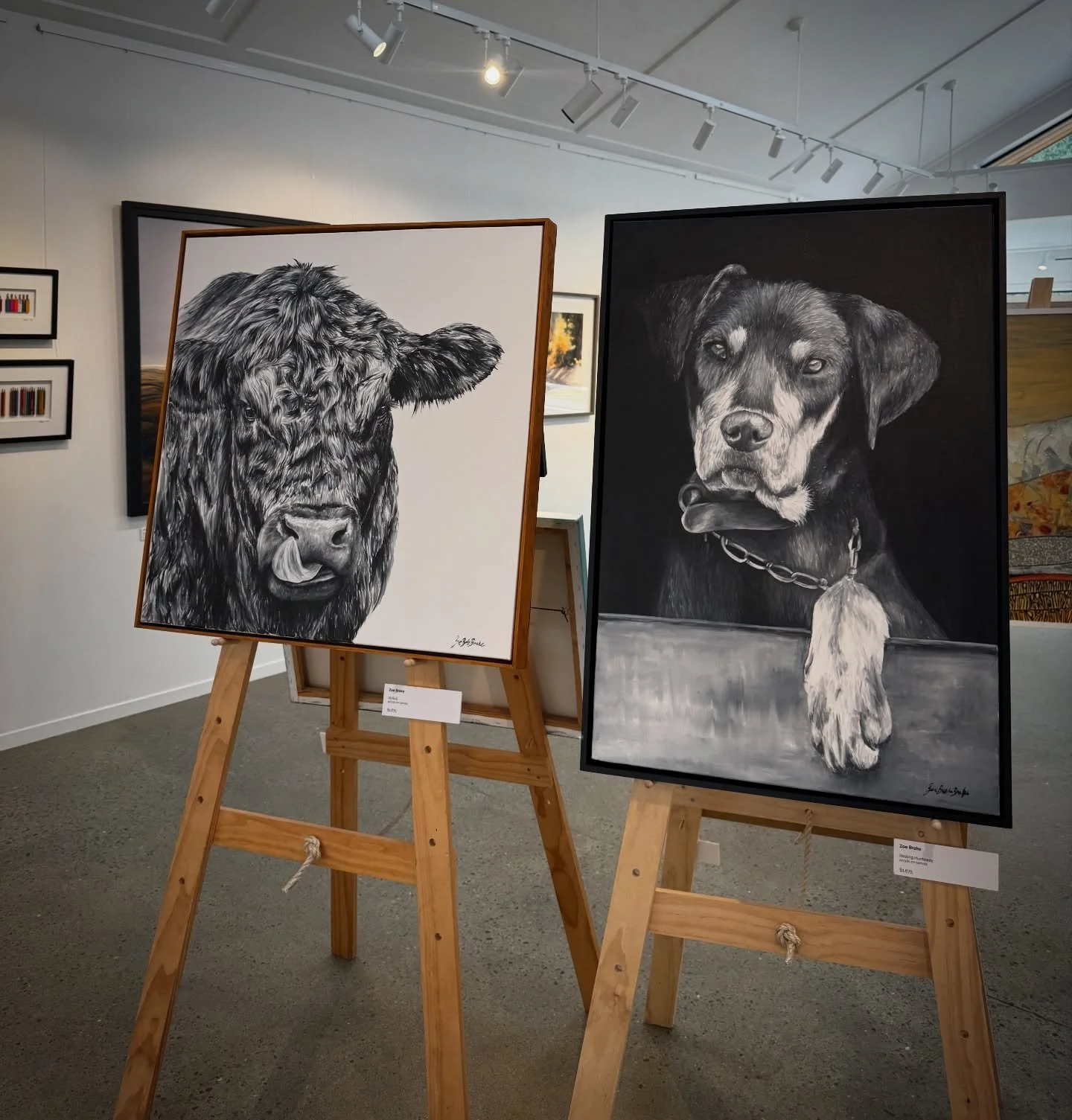 Two original artworks of mine at Athol Gallery. 
I absolutely love the presence that these two have! 
&ldquo;All Bull&rdquo; &amp; &ldquo;Resting Huntaway&rdquo; are both available for purchase. 
&ldquo;All Bull&rdquo; was featured in the incredible

