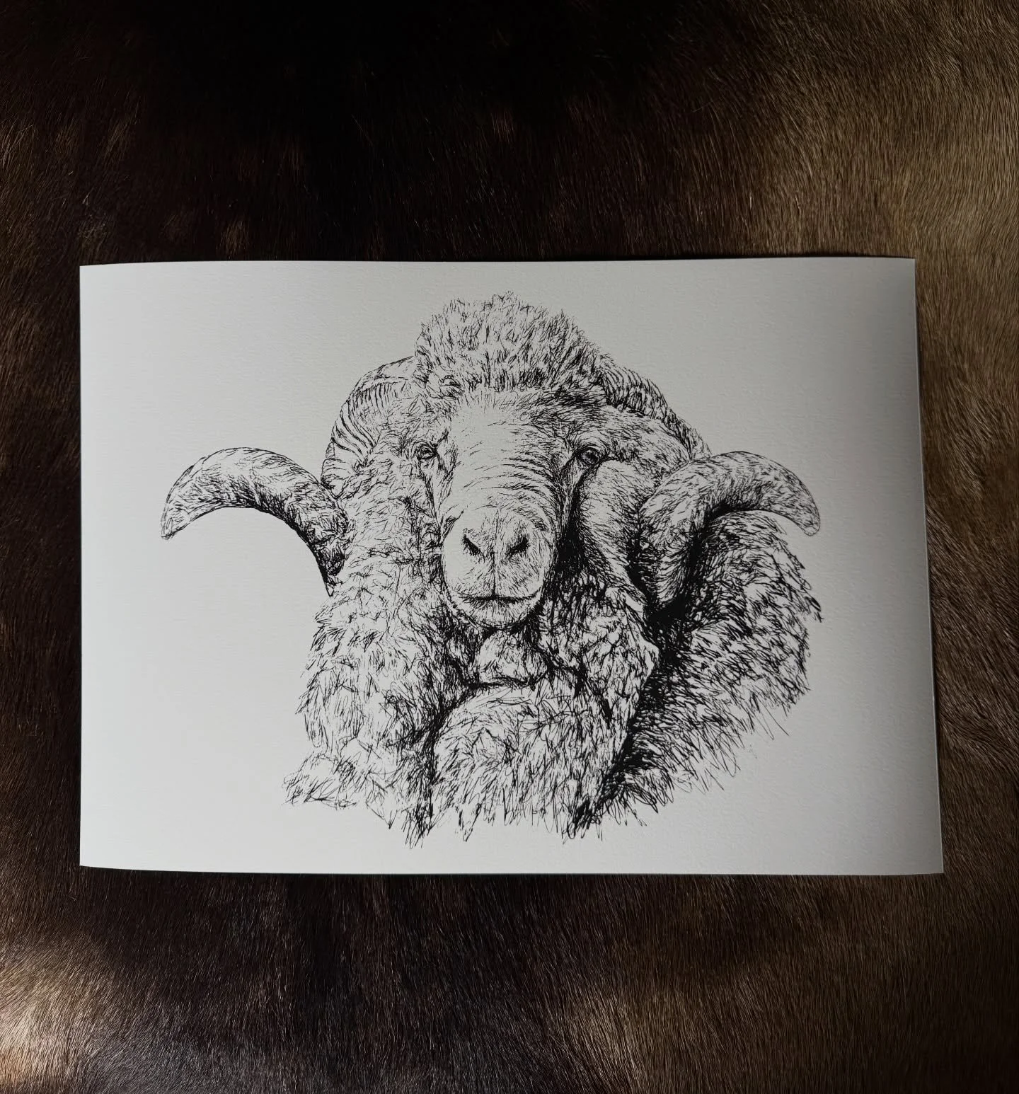 A beautiful new print which will be available this Saturday for the first time at the @remarkables_market 🖊️