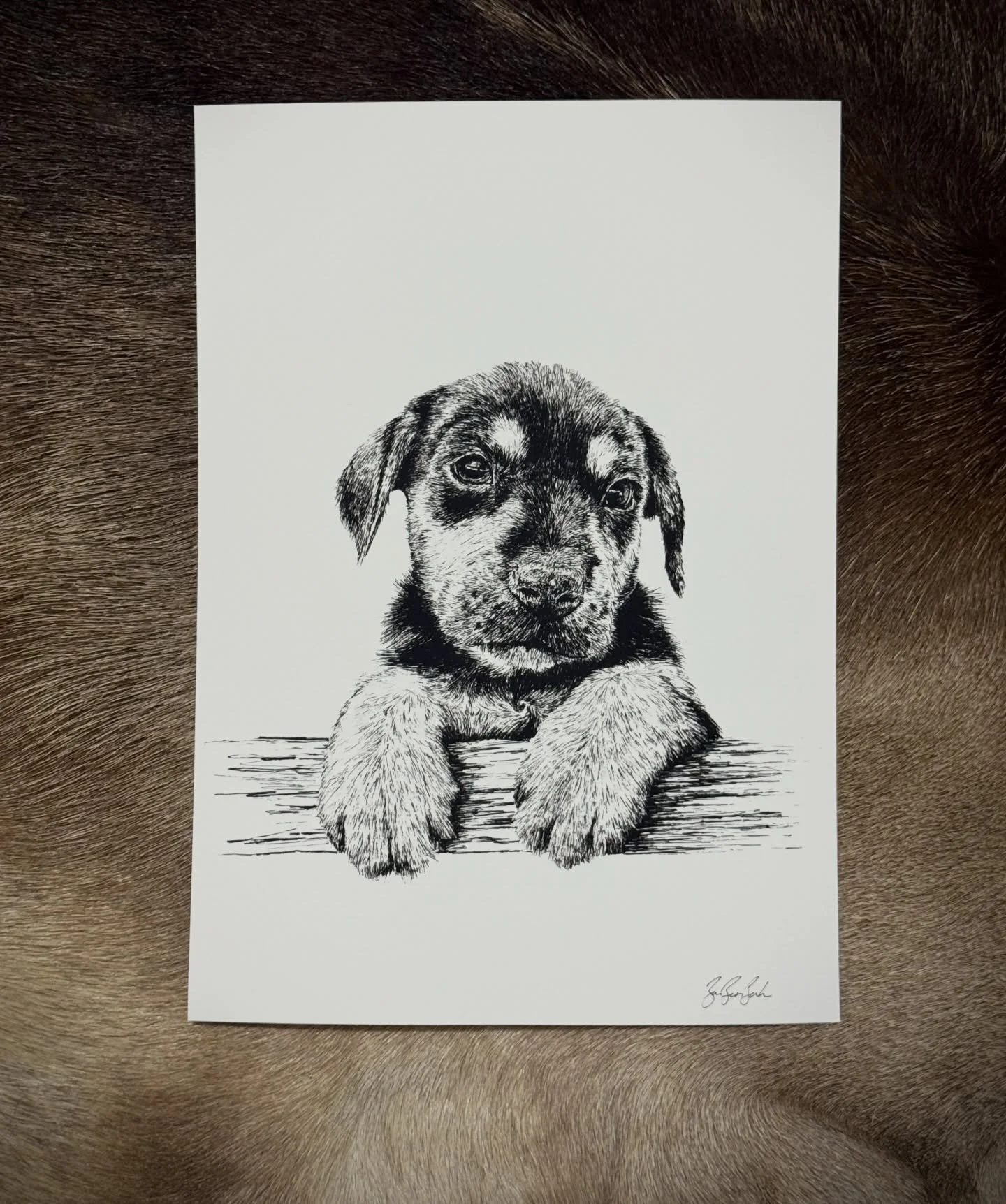 Annnd the second new addition to the print collection 🥹 available for the first time tomorrow at the market!

@nzfarming #huntaway #workingdog