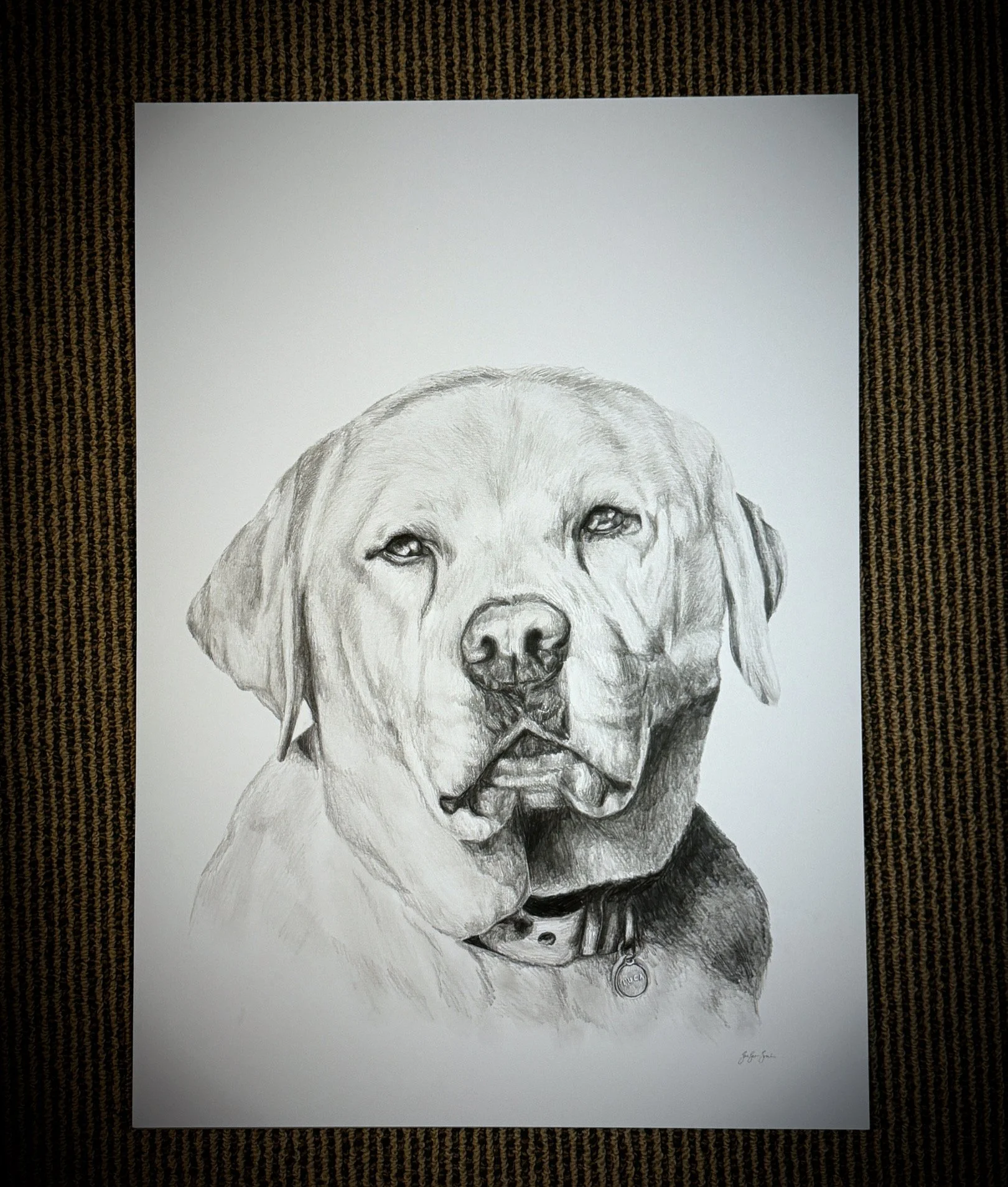 Graphite Pencil Drawing