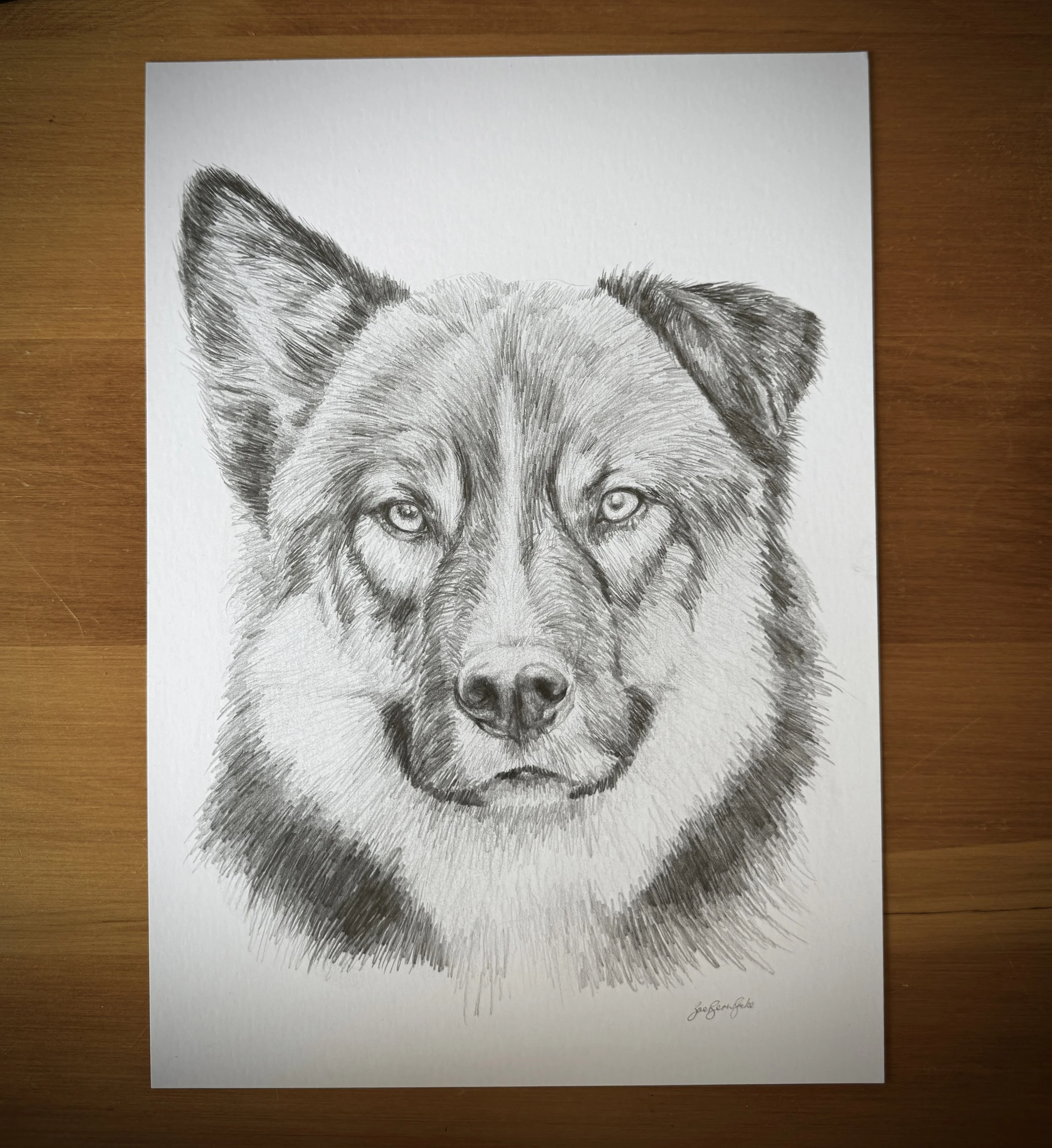 Graphite Pencil Drawing