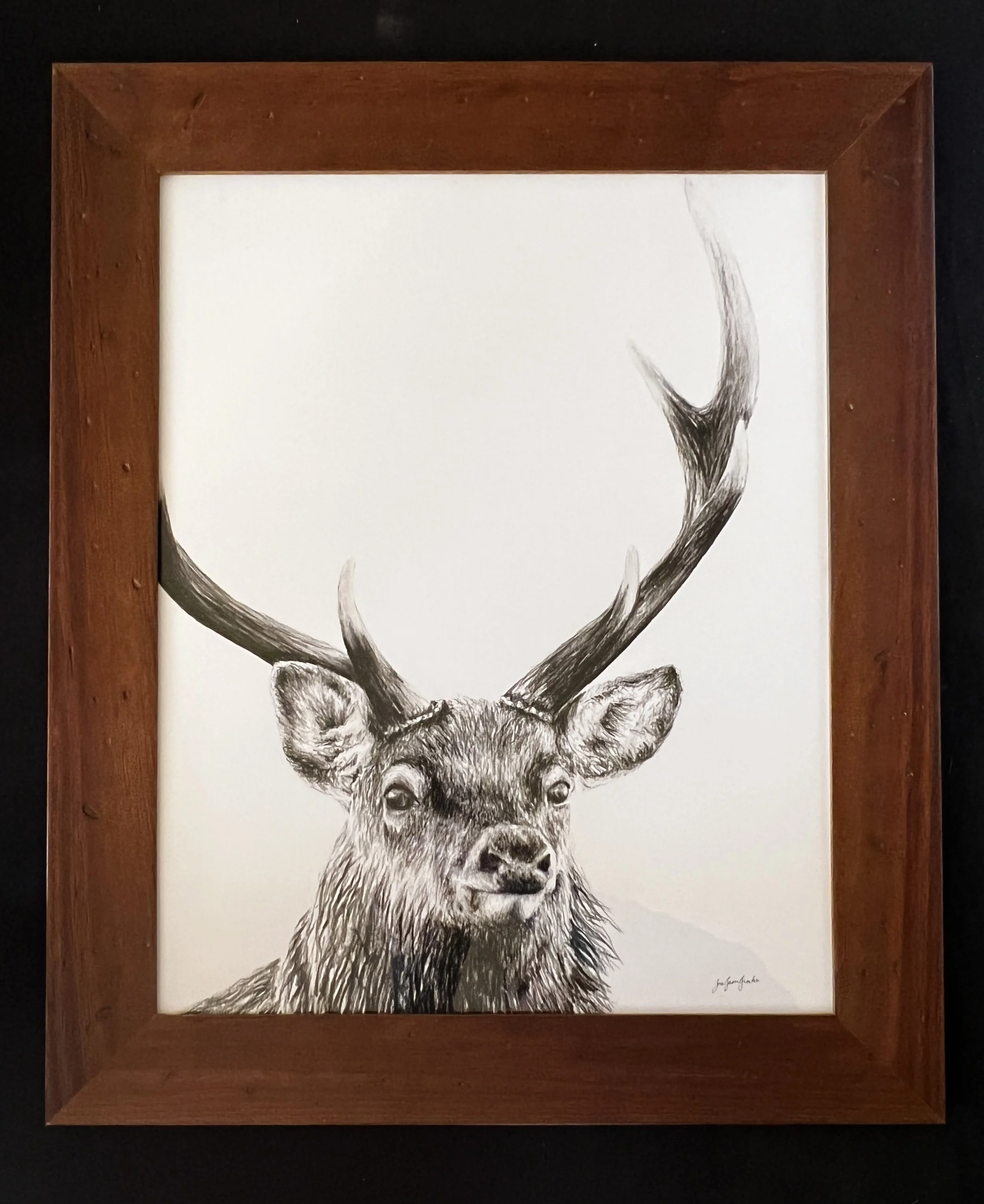 A detailed pencil drawing of a deer with large antlers, framed in a wooden frame.