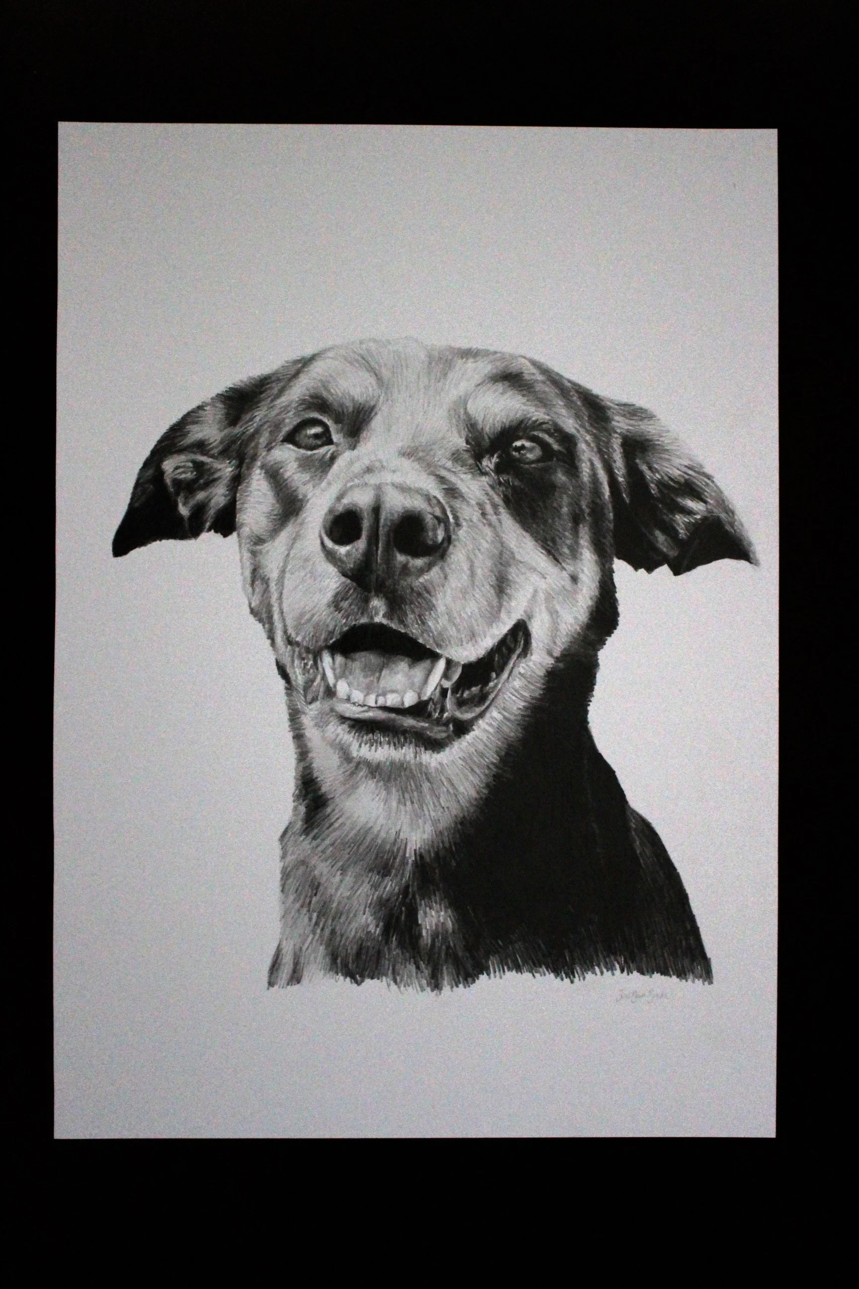 Graphite Pencil Drawing