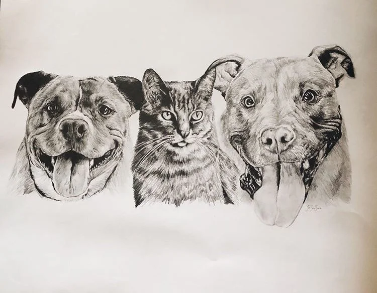 Graphite Pencil Drawing