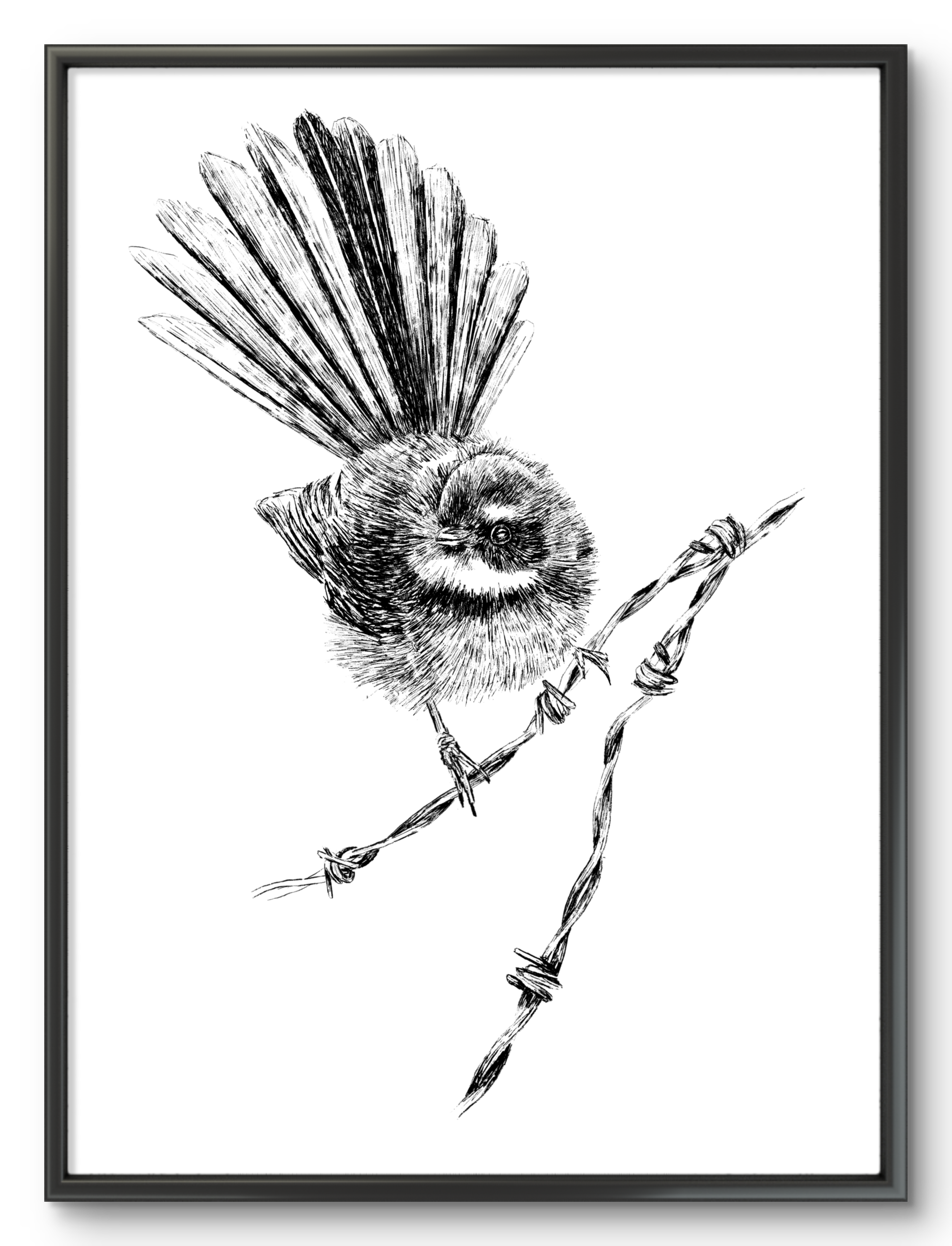 Rustic Illustration Fantail Print