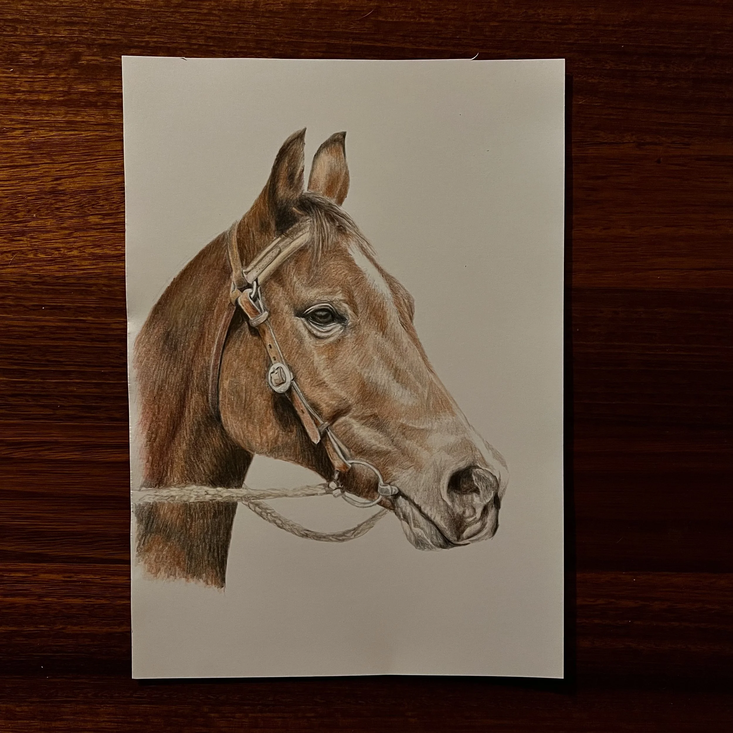 Colour pencil drawing