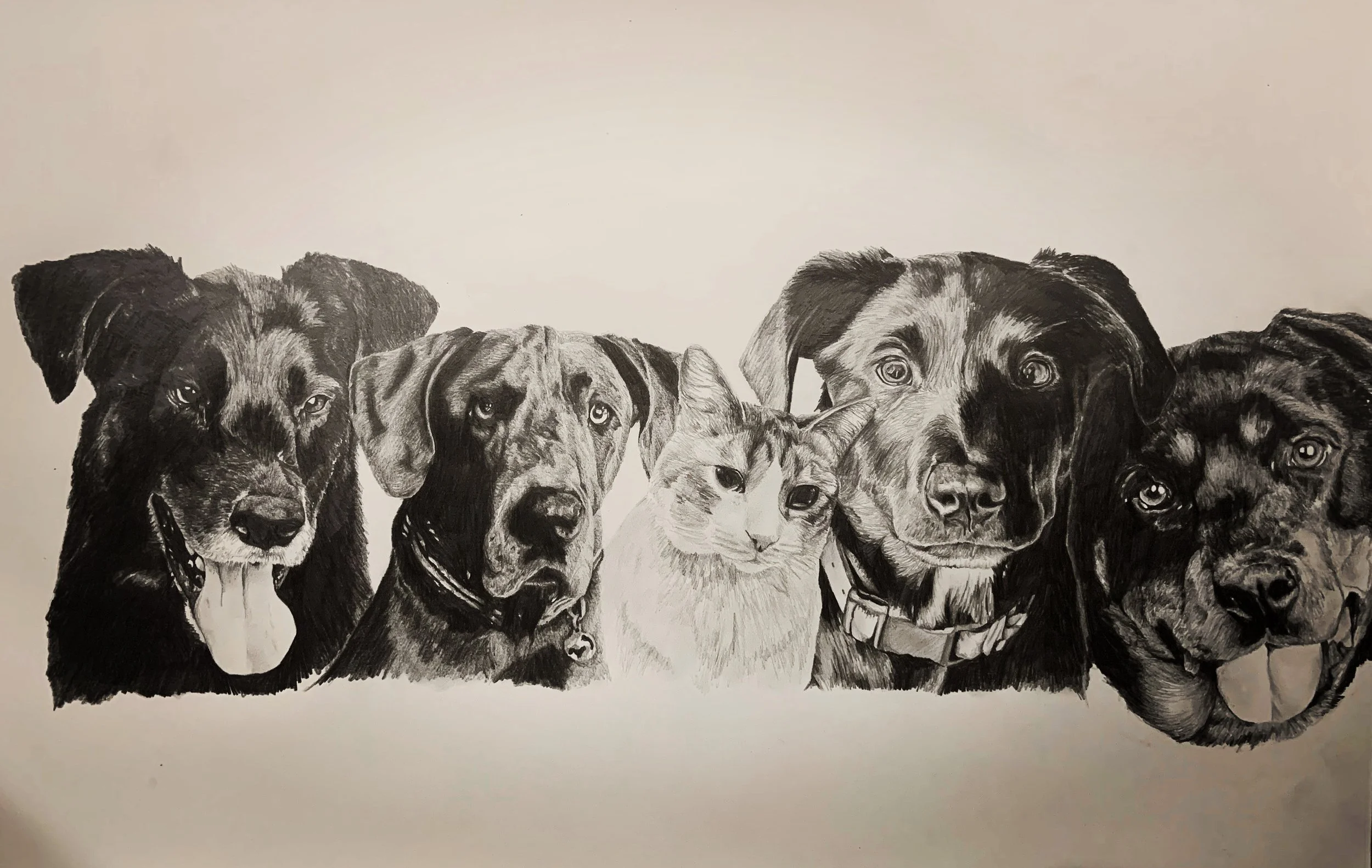 Graphite Pencil Drawing