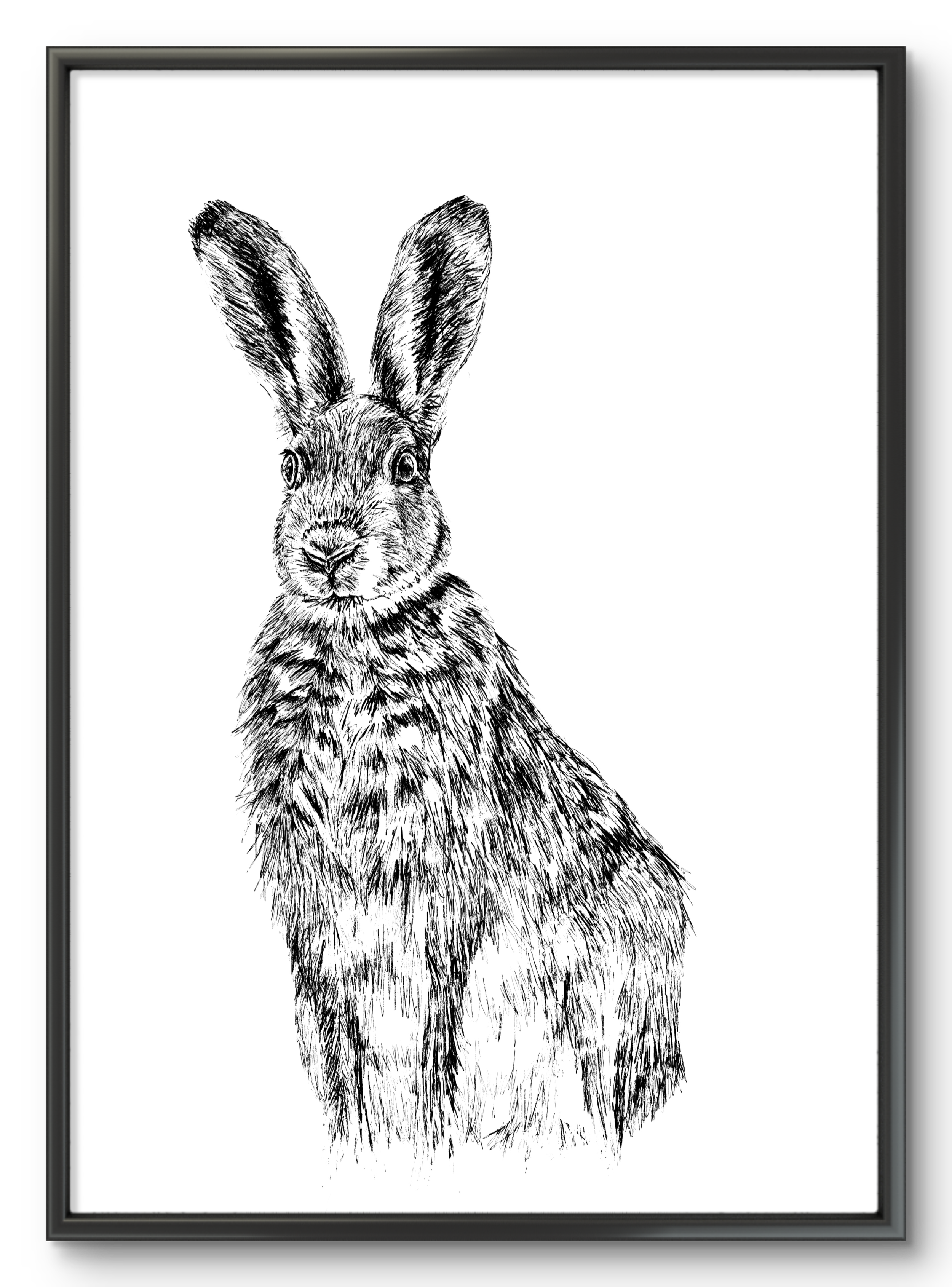 Magical Hare Illustration Print