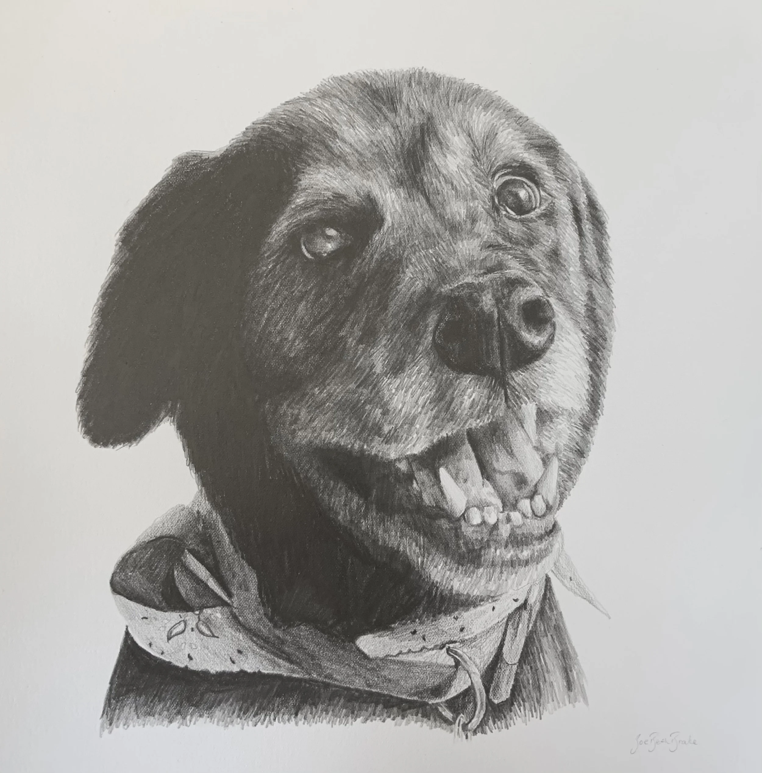 Graphite Pencil Drawing