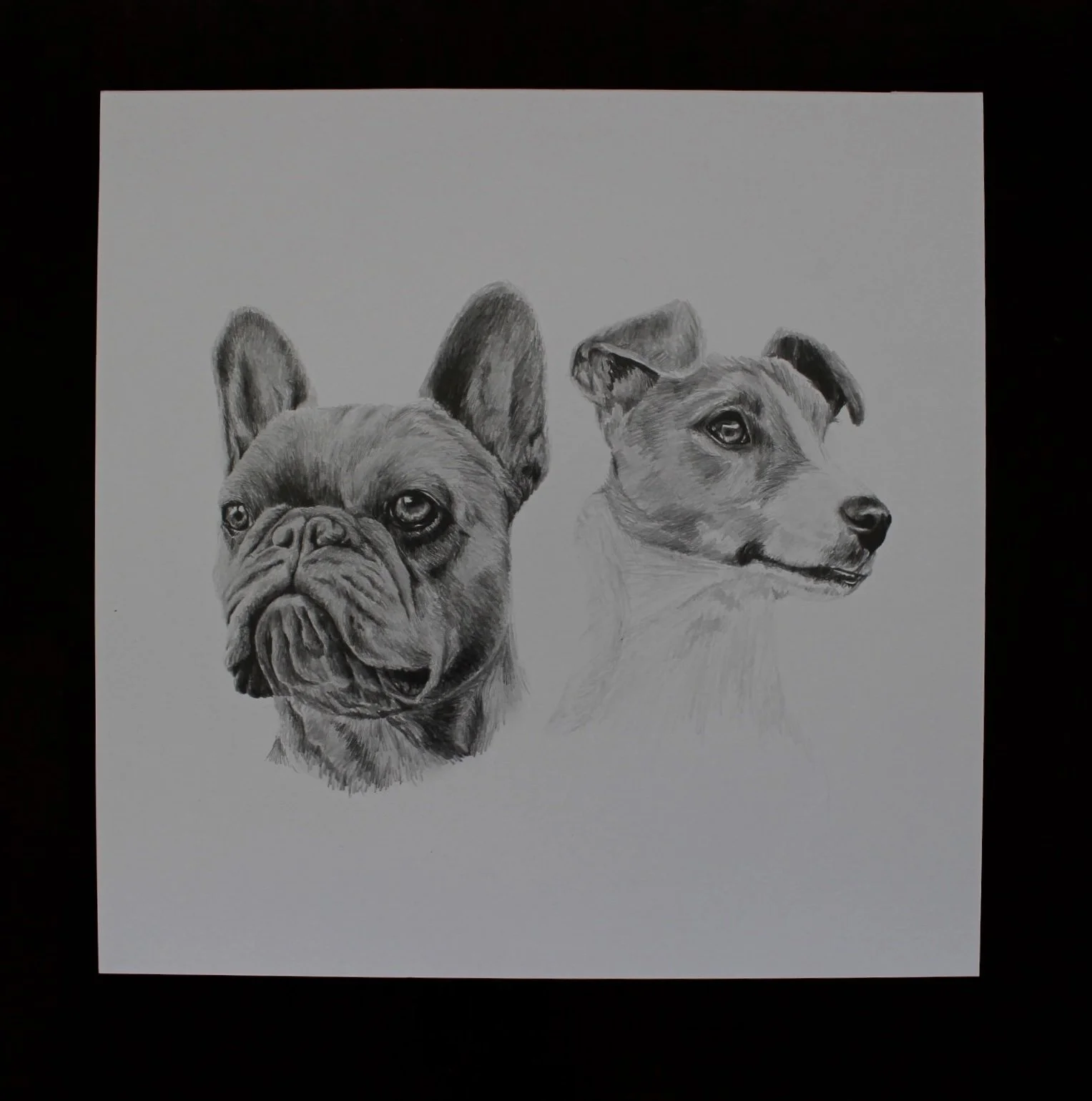 Graphite Pencil Drawing