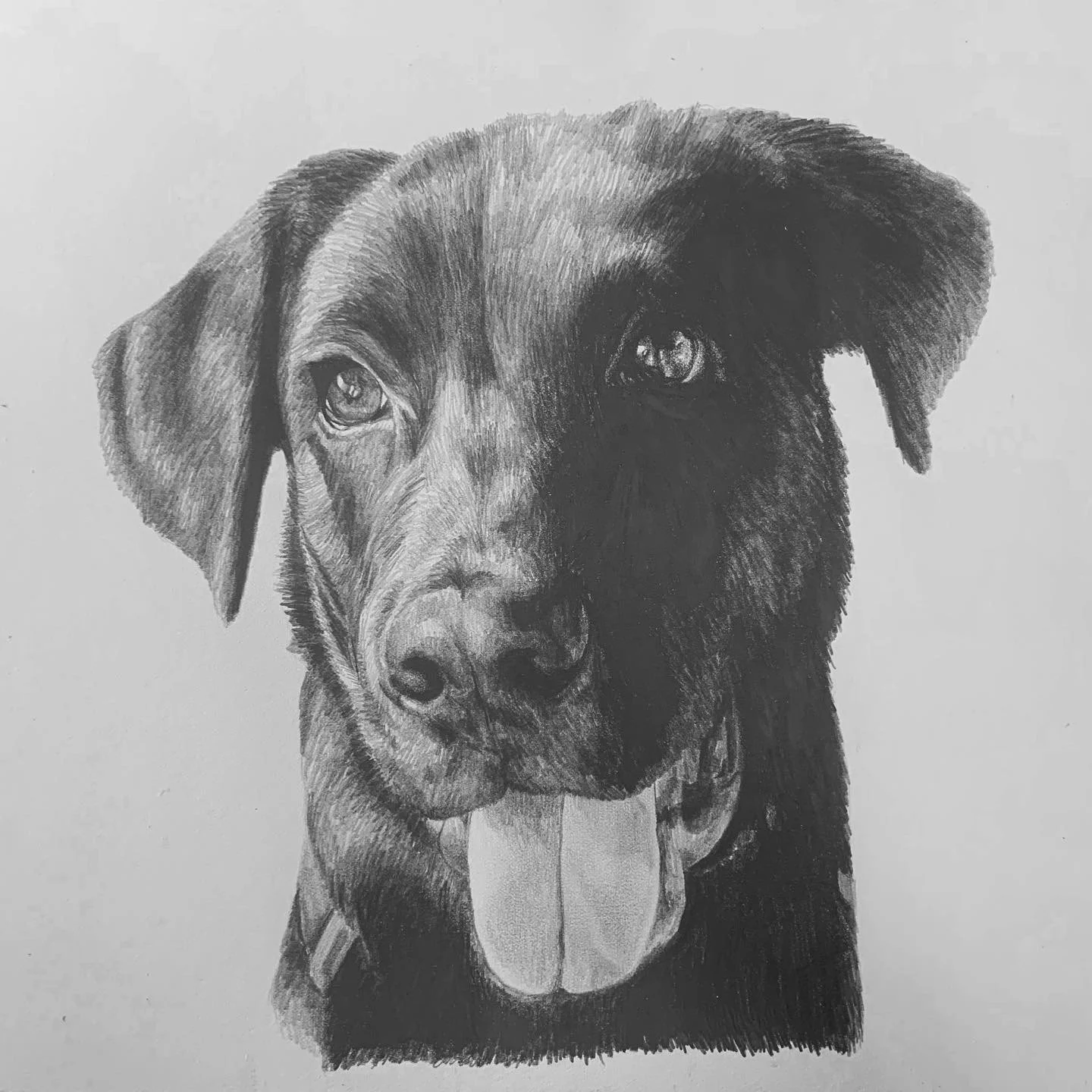 Graphite Pencil Drawing