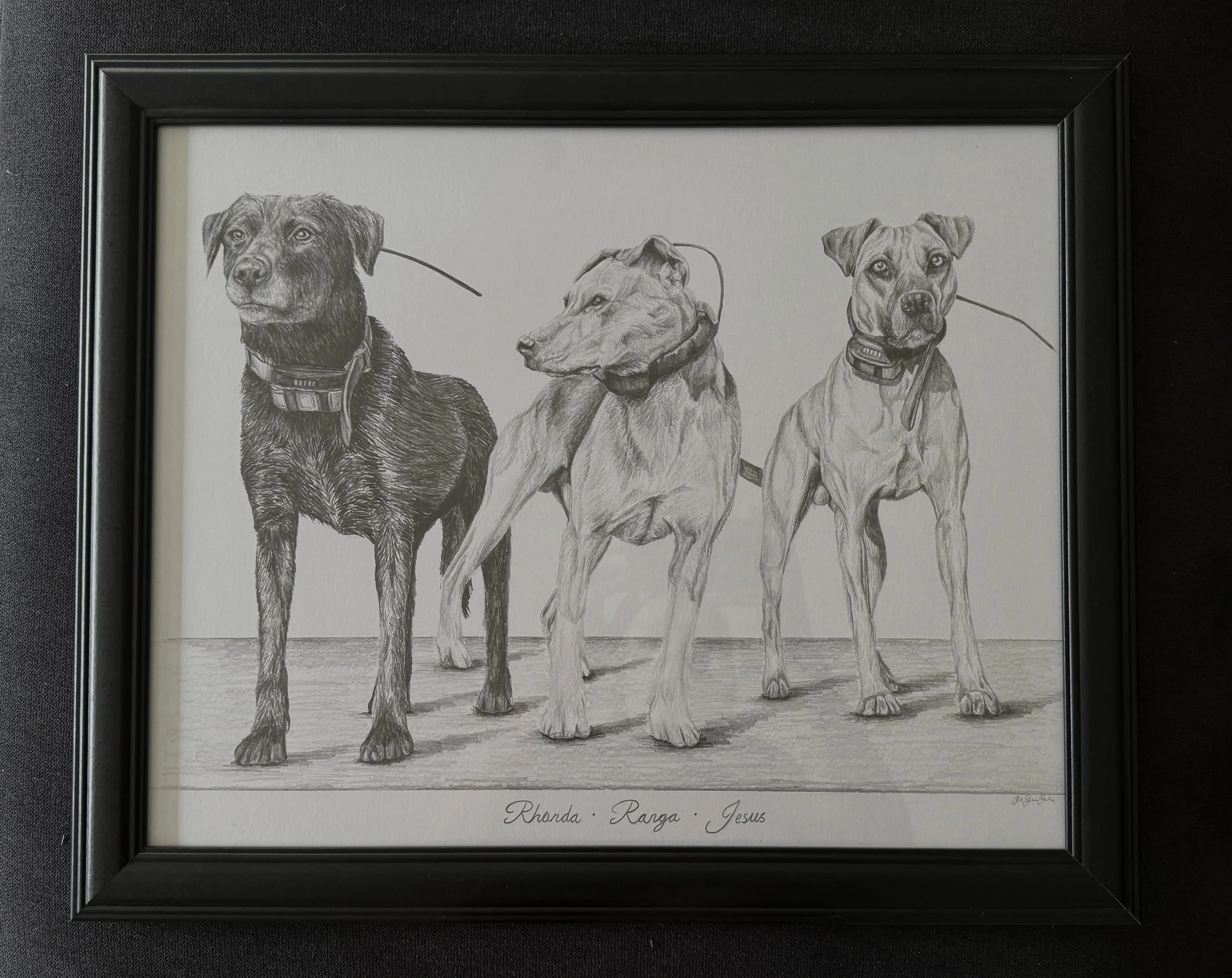 Graphite Pencil Drawing