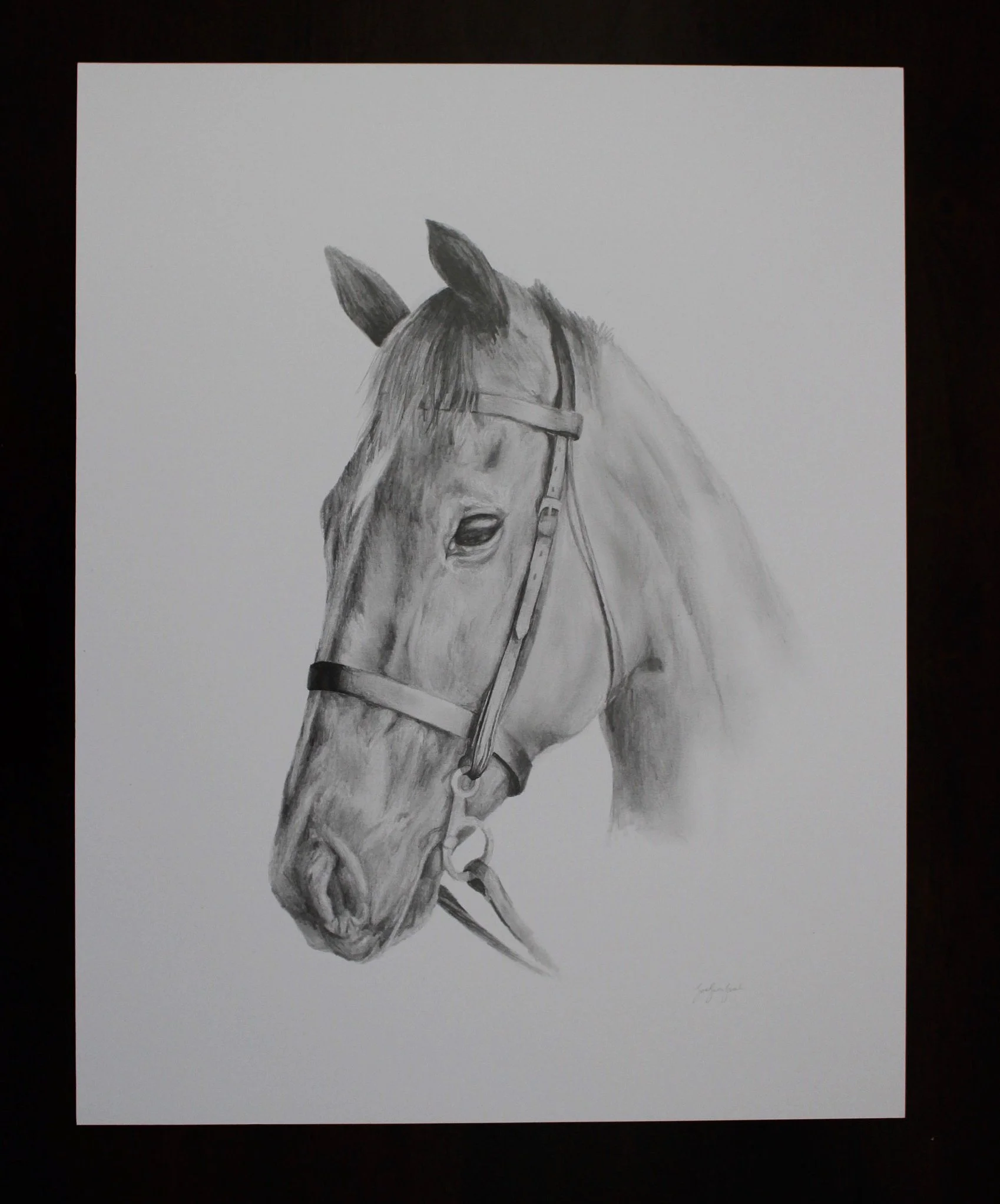 Graphite Pencil Drawing