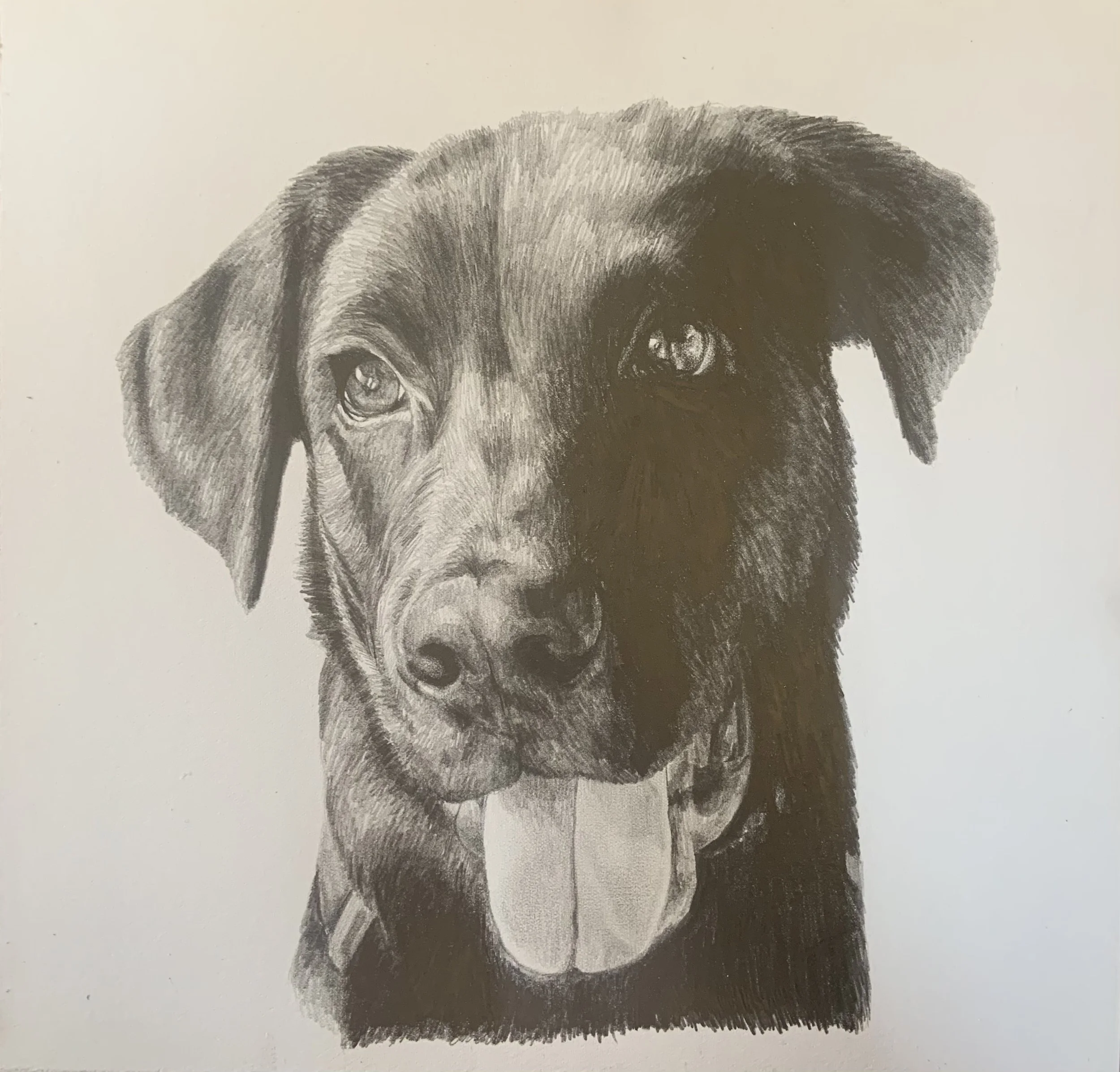 Graphite Pencil Drawing