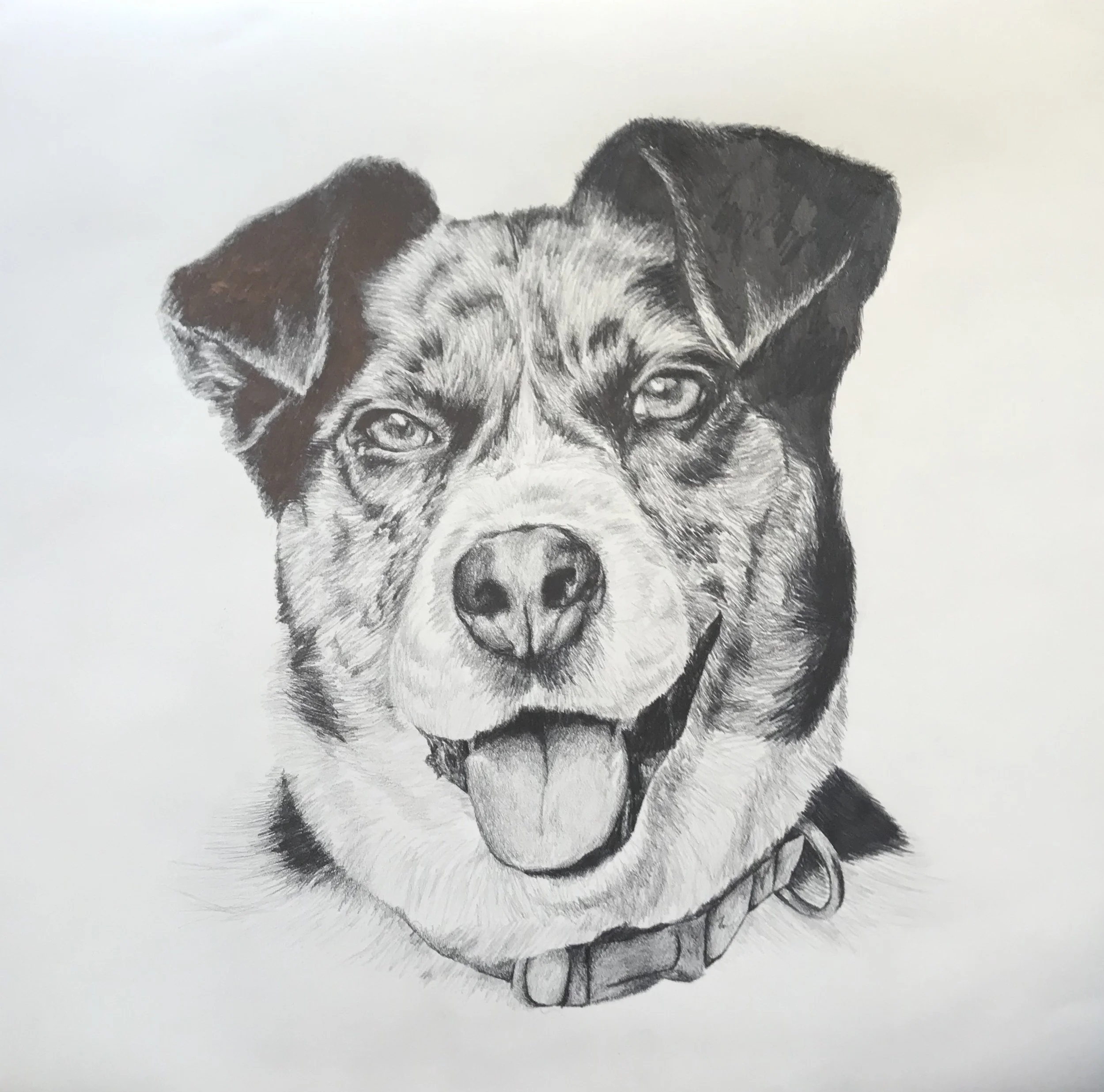 Graphite Pencil Drawing