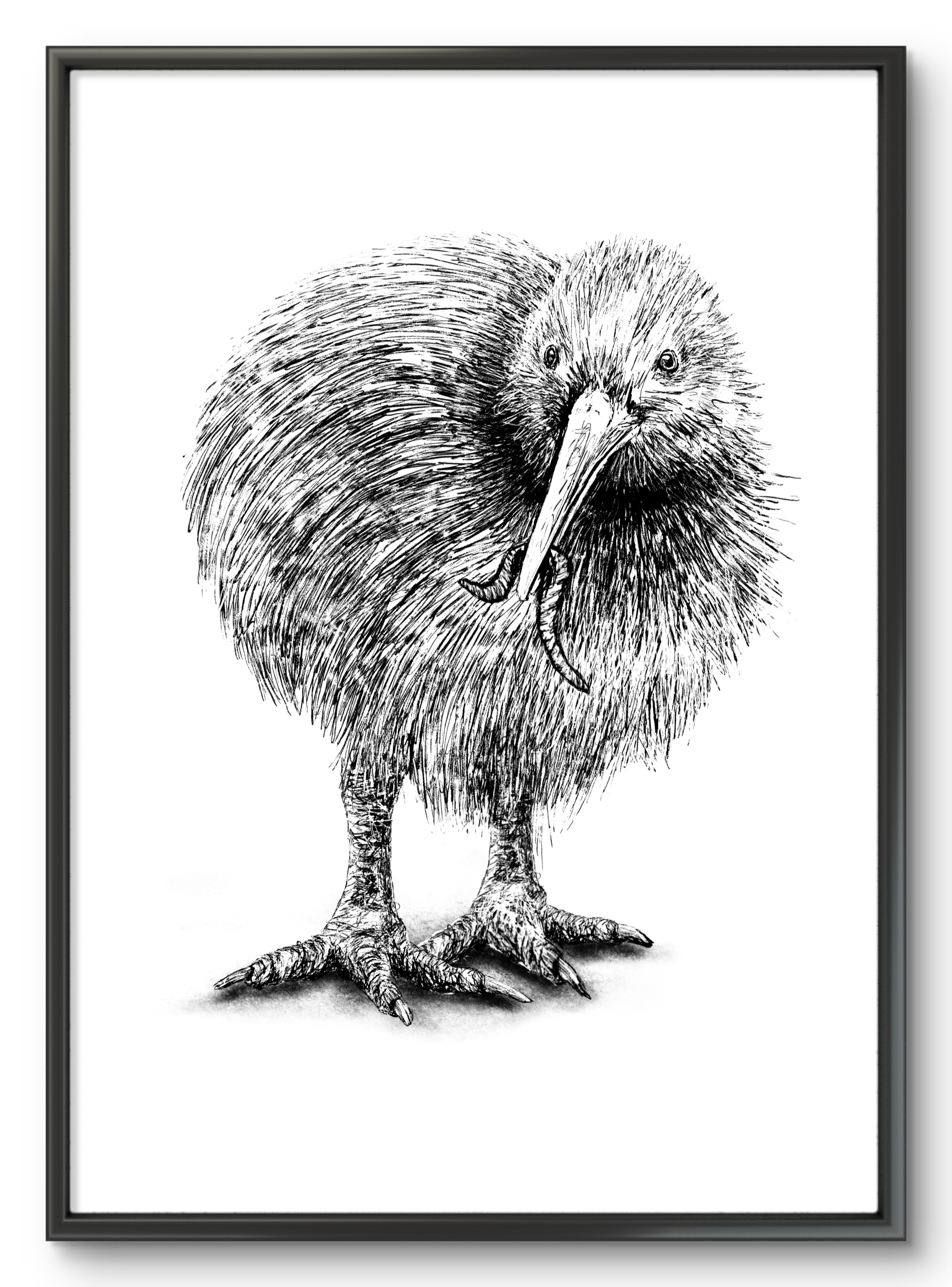 Kiwi Bird Illustration Print