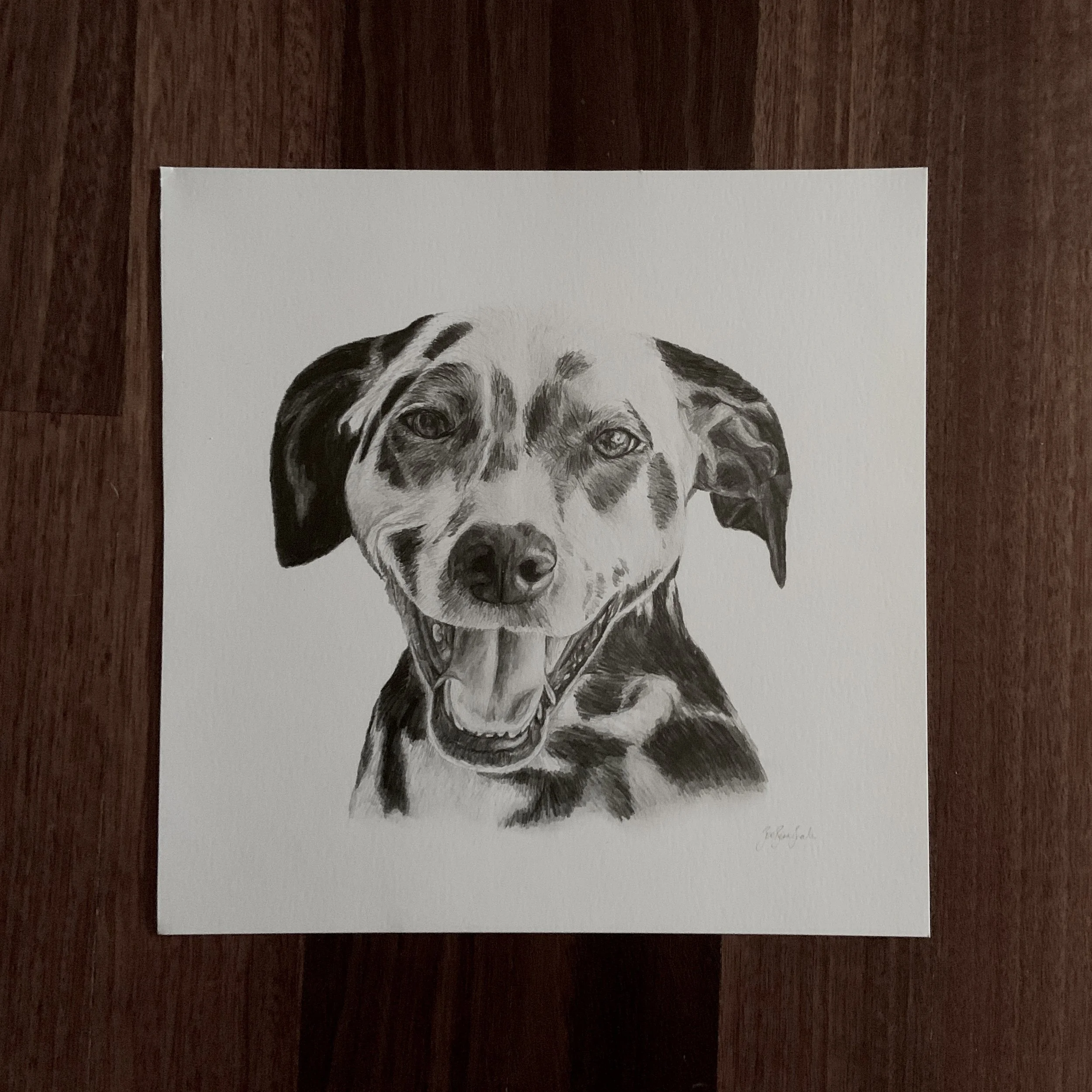 Graphite Pencil Drawing