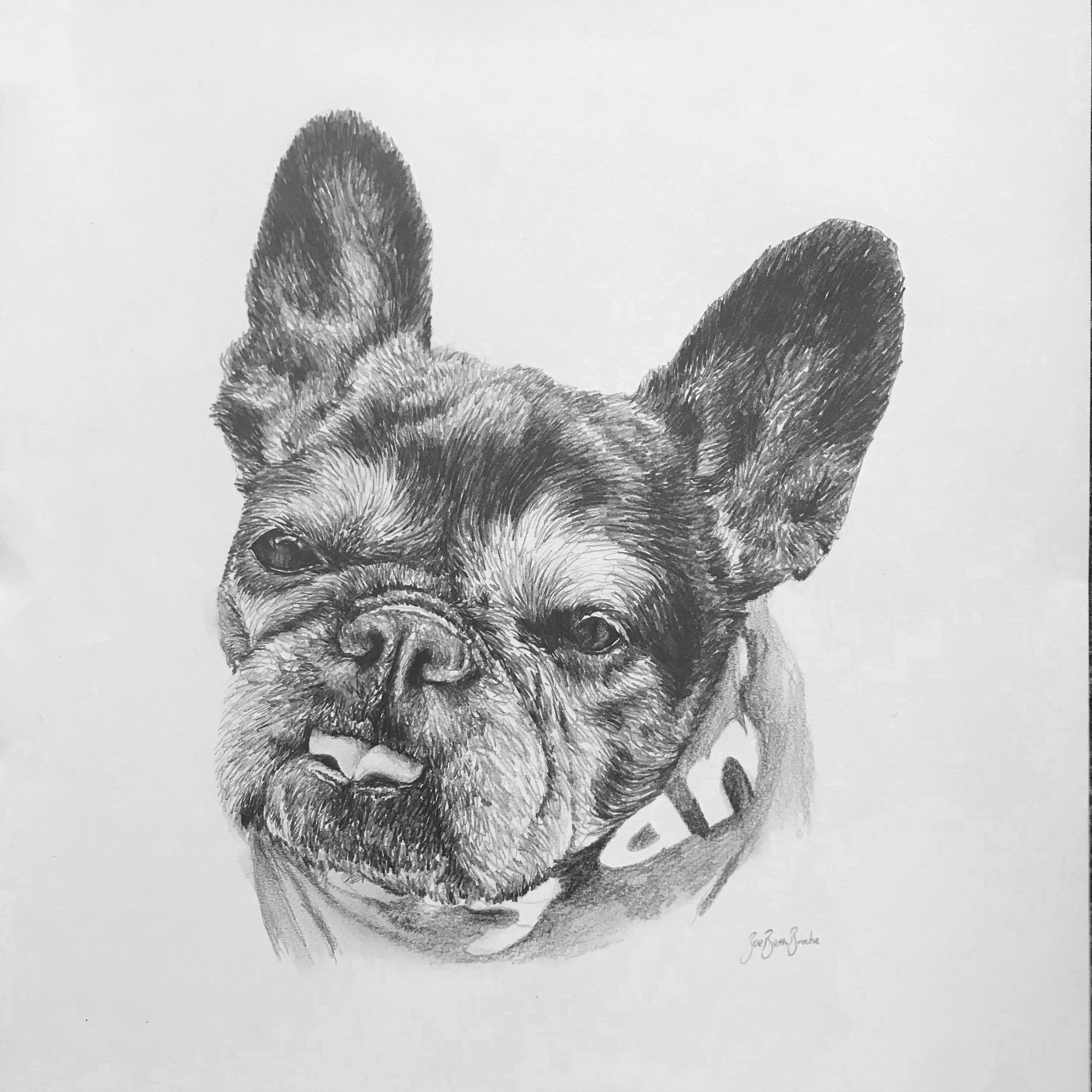 Graphite Pencil Drawing