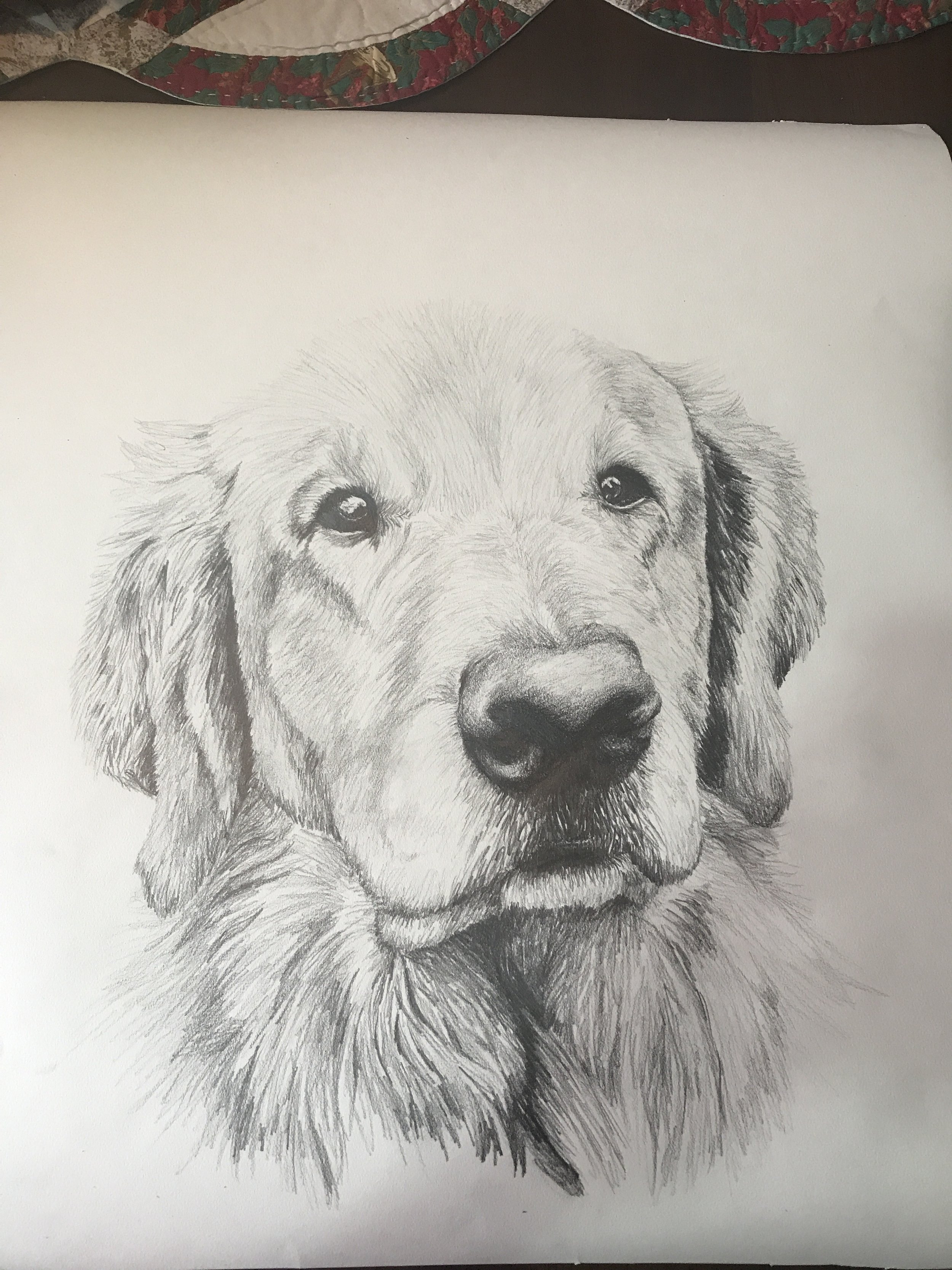 Graphite Pencil Drawing