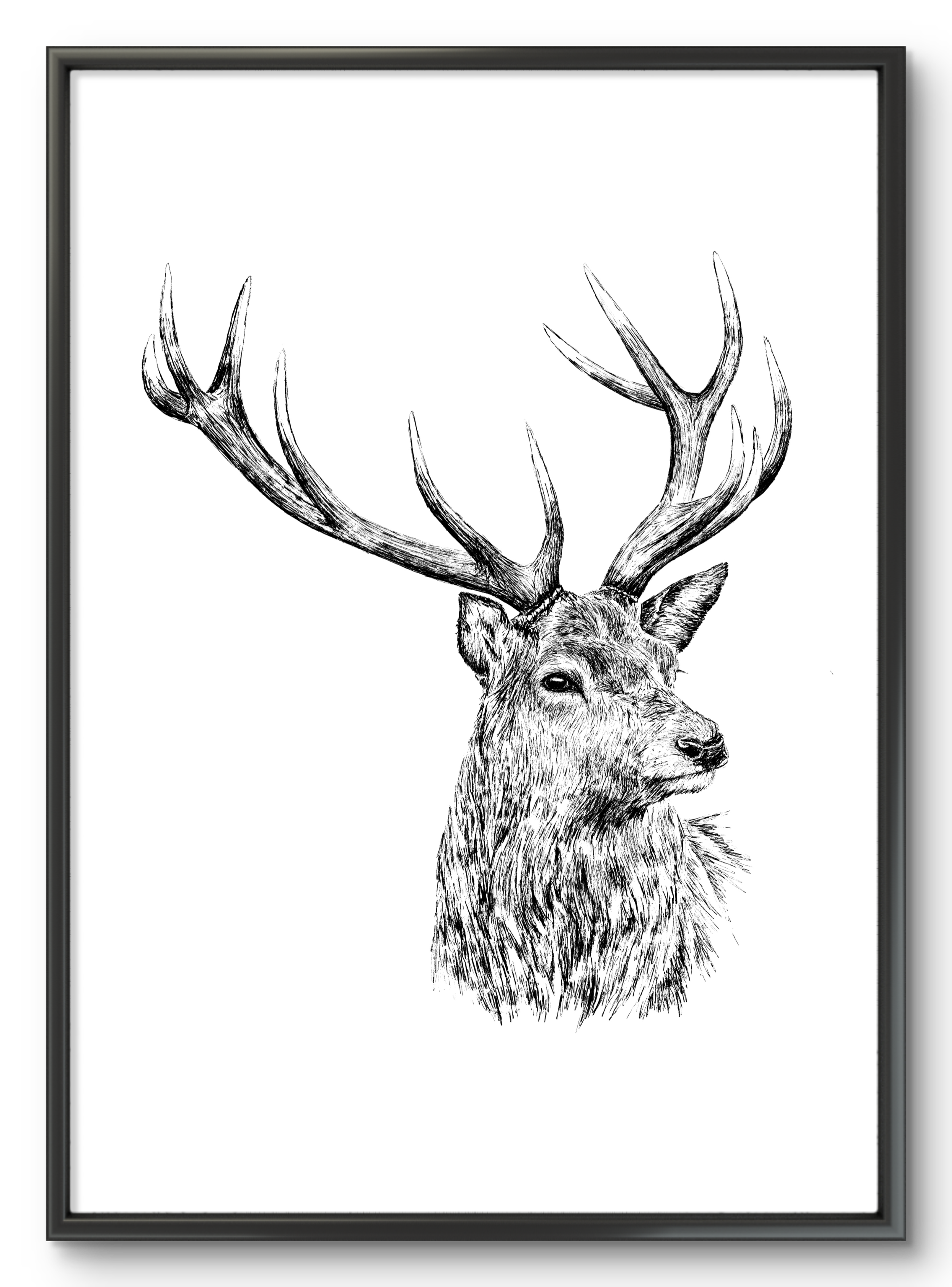 Rustic Red Stag Illustration Print
