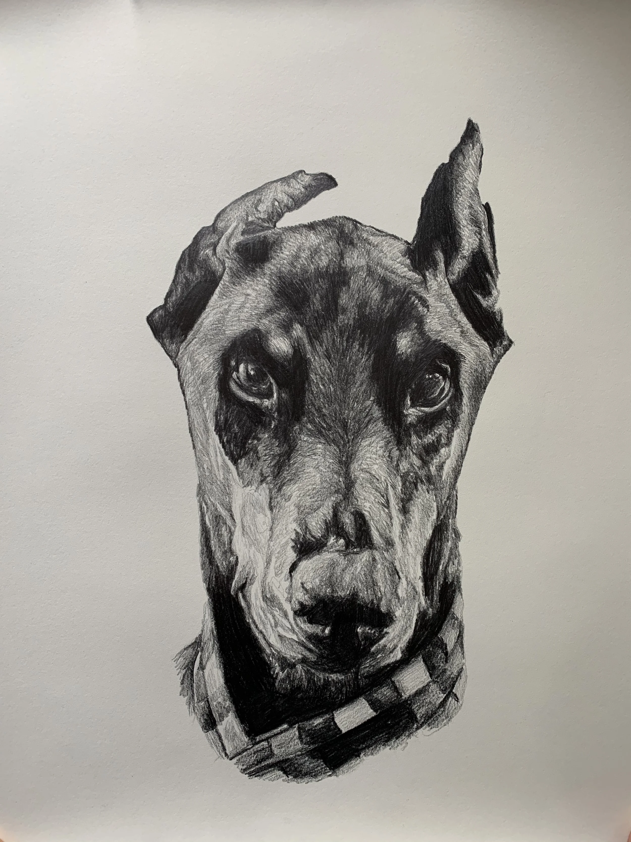 Graphite Pencil Drawing