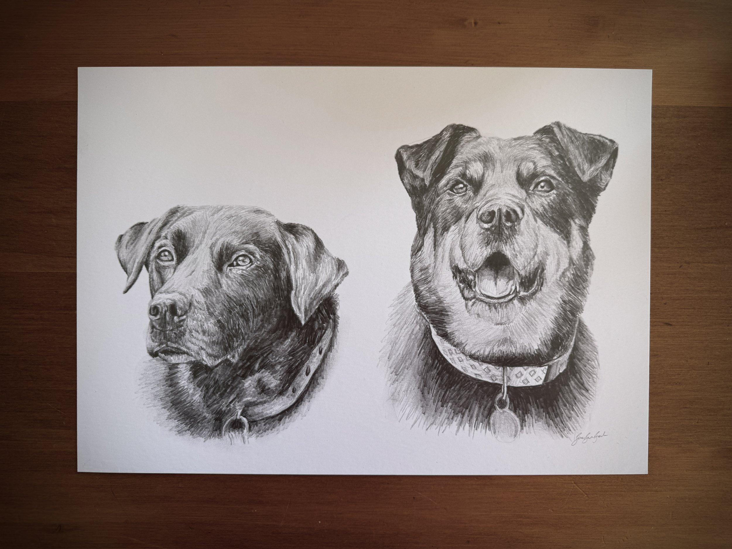 Graphite Pencil Drawing