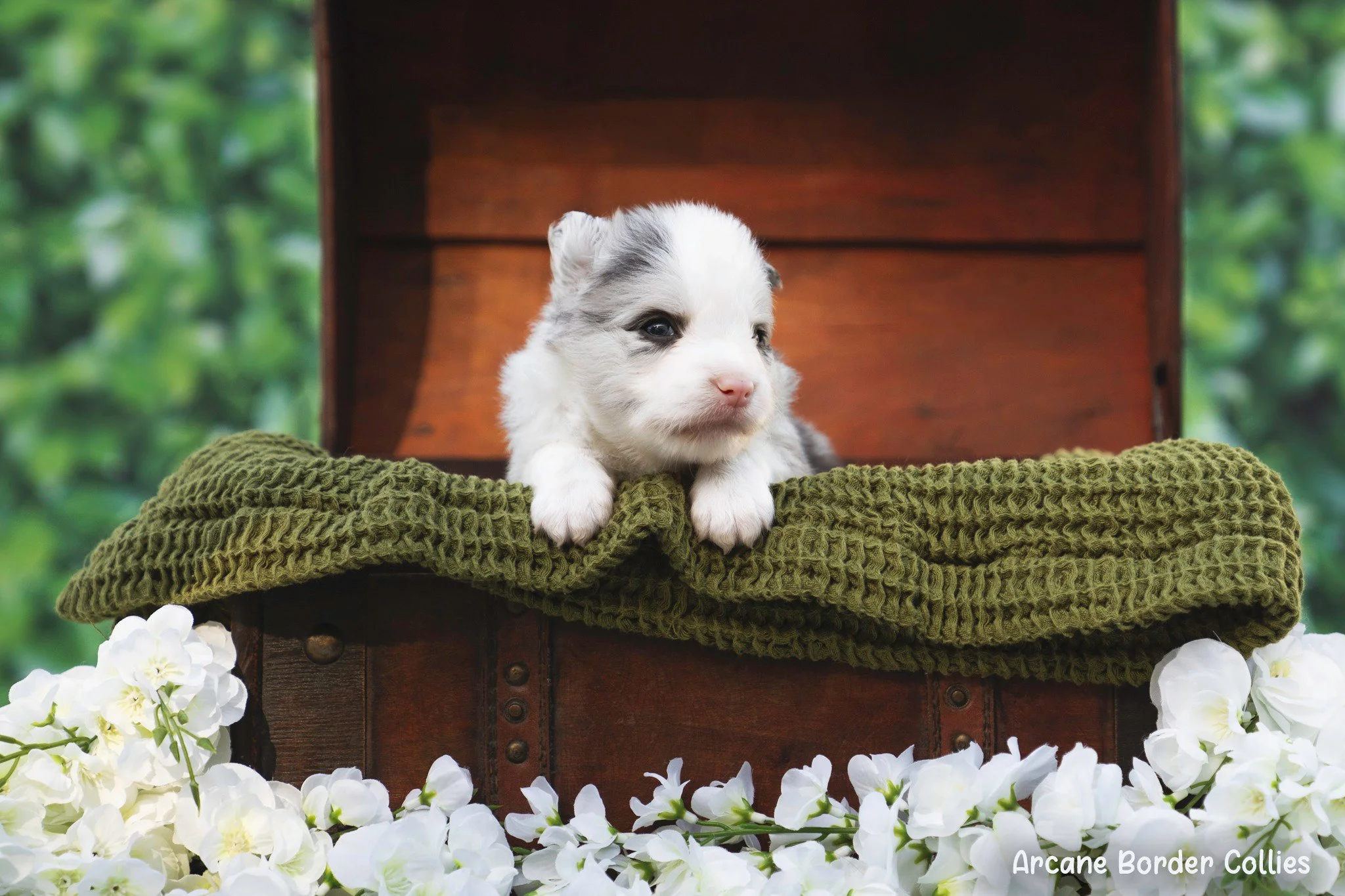 lulu 4 weeks.jpg
