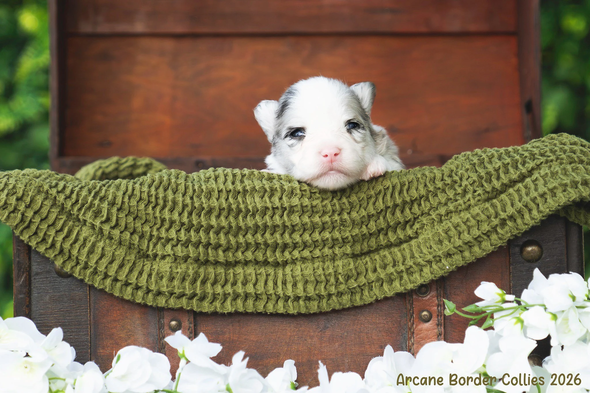 lulu 3 weeks.jpg