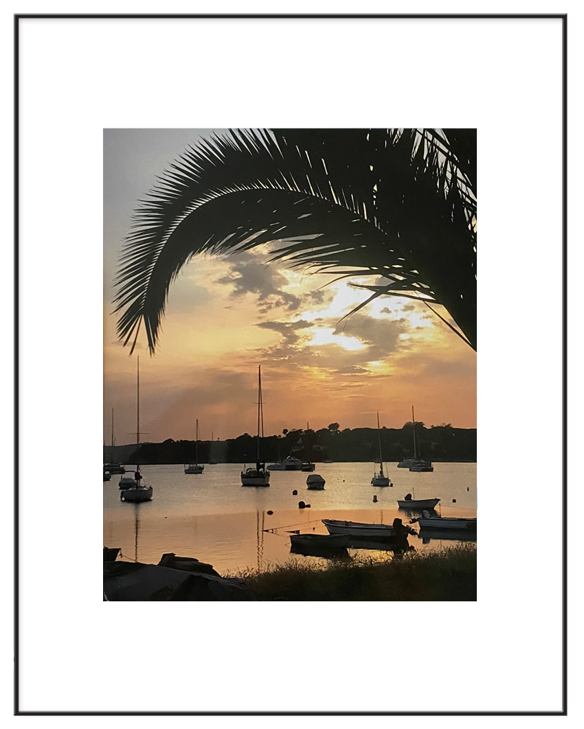 PalmTrees-PortugalSunset.png