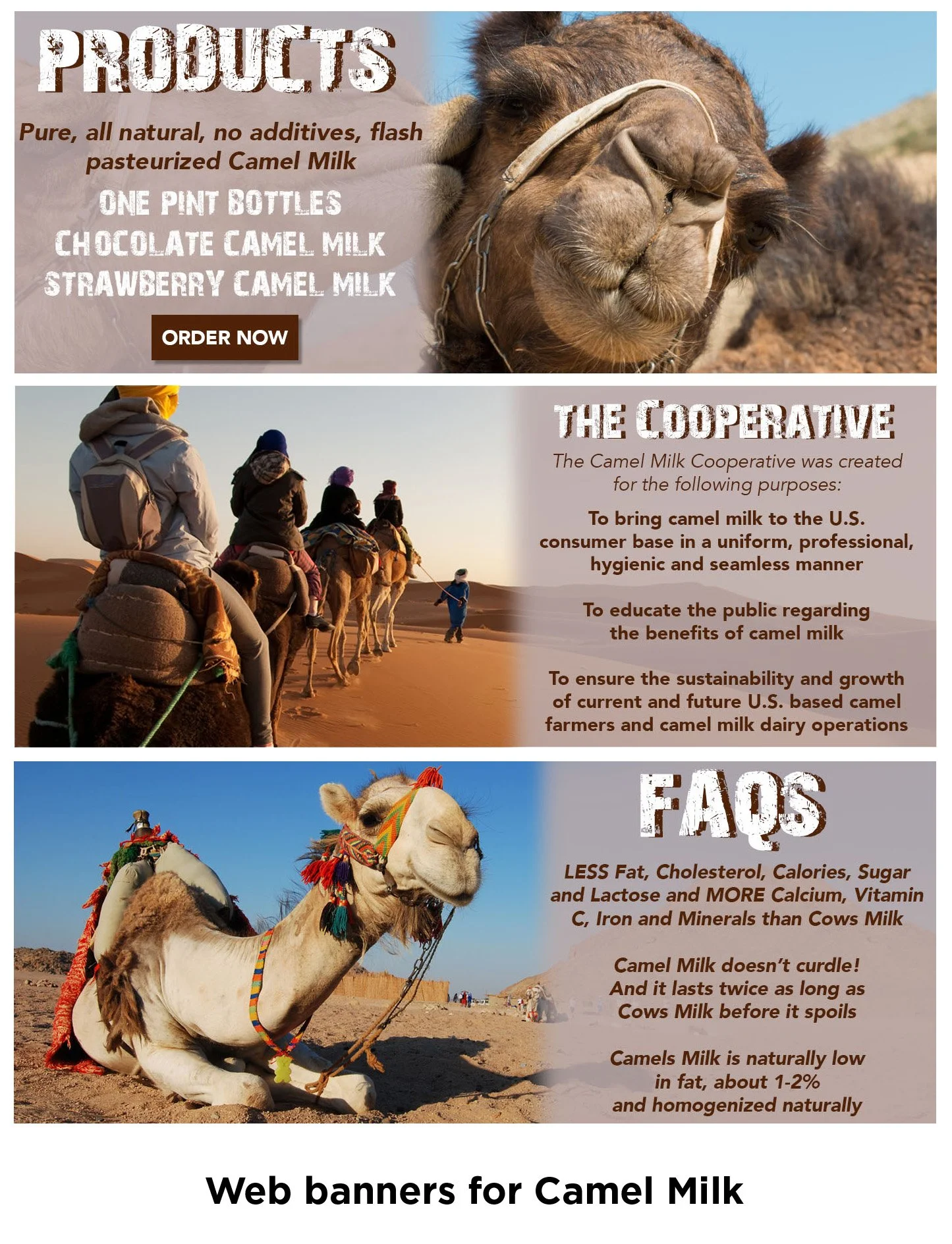 CamelMilk_Products.jpg