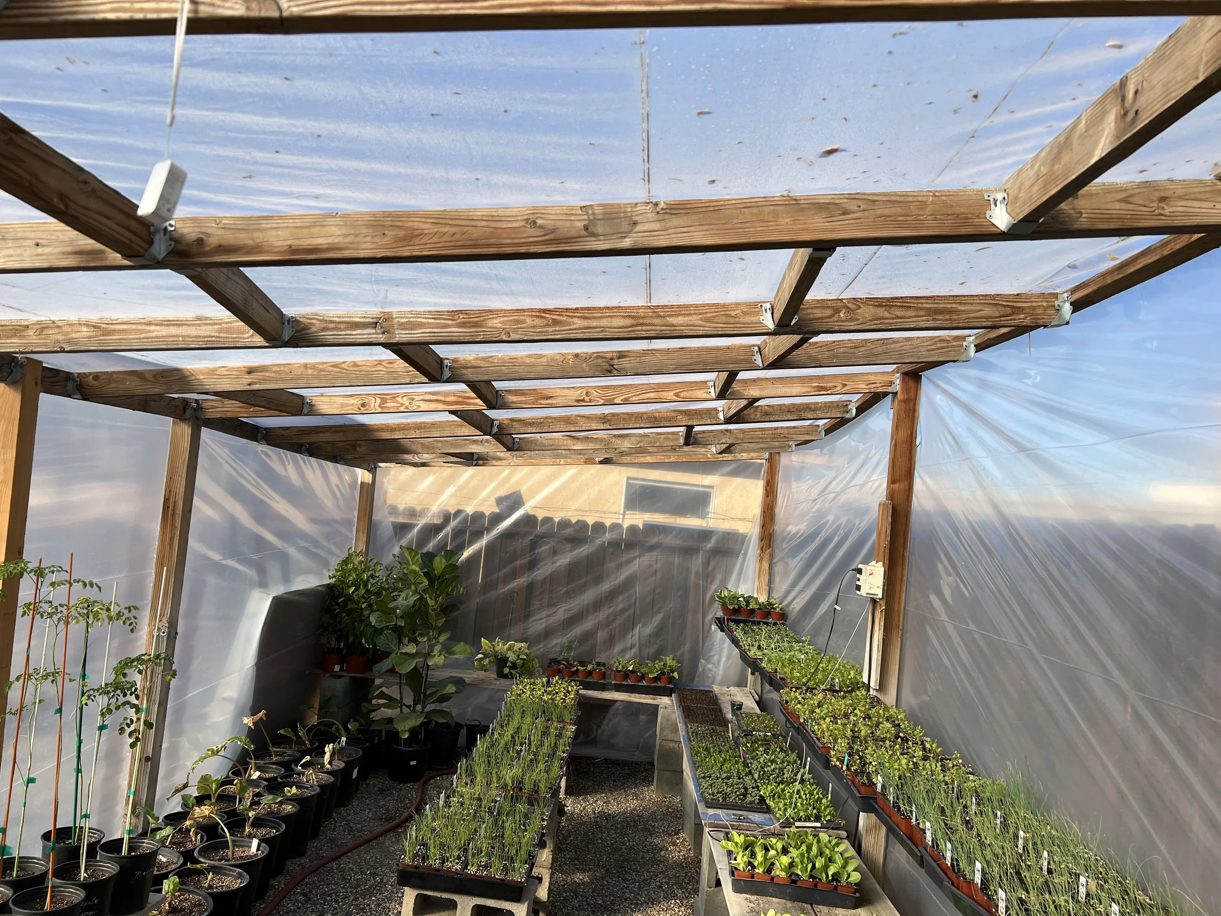 Growing Experiment With Malibu Compost