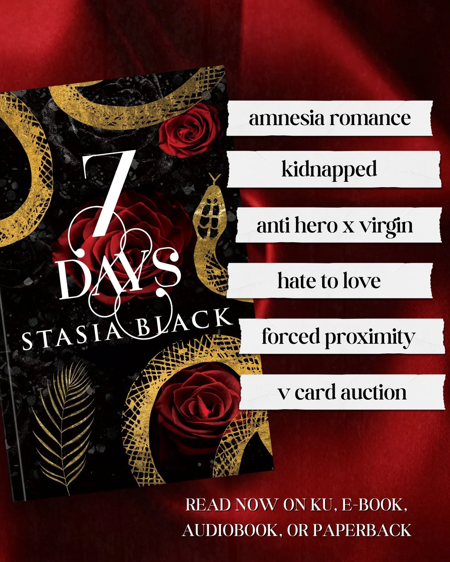 At a v-card auction, a woman with amnesia meets the man who swore he&rsquo;d kill her if he ever saw her again&hellip;

7 Days is a dark romance out now on KU, e-book, audiobook, paperback. 💋

#darkromance #booktropes #spicybooks #amnesiaromance #ta