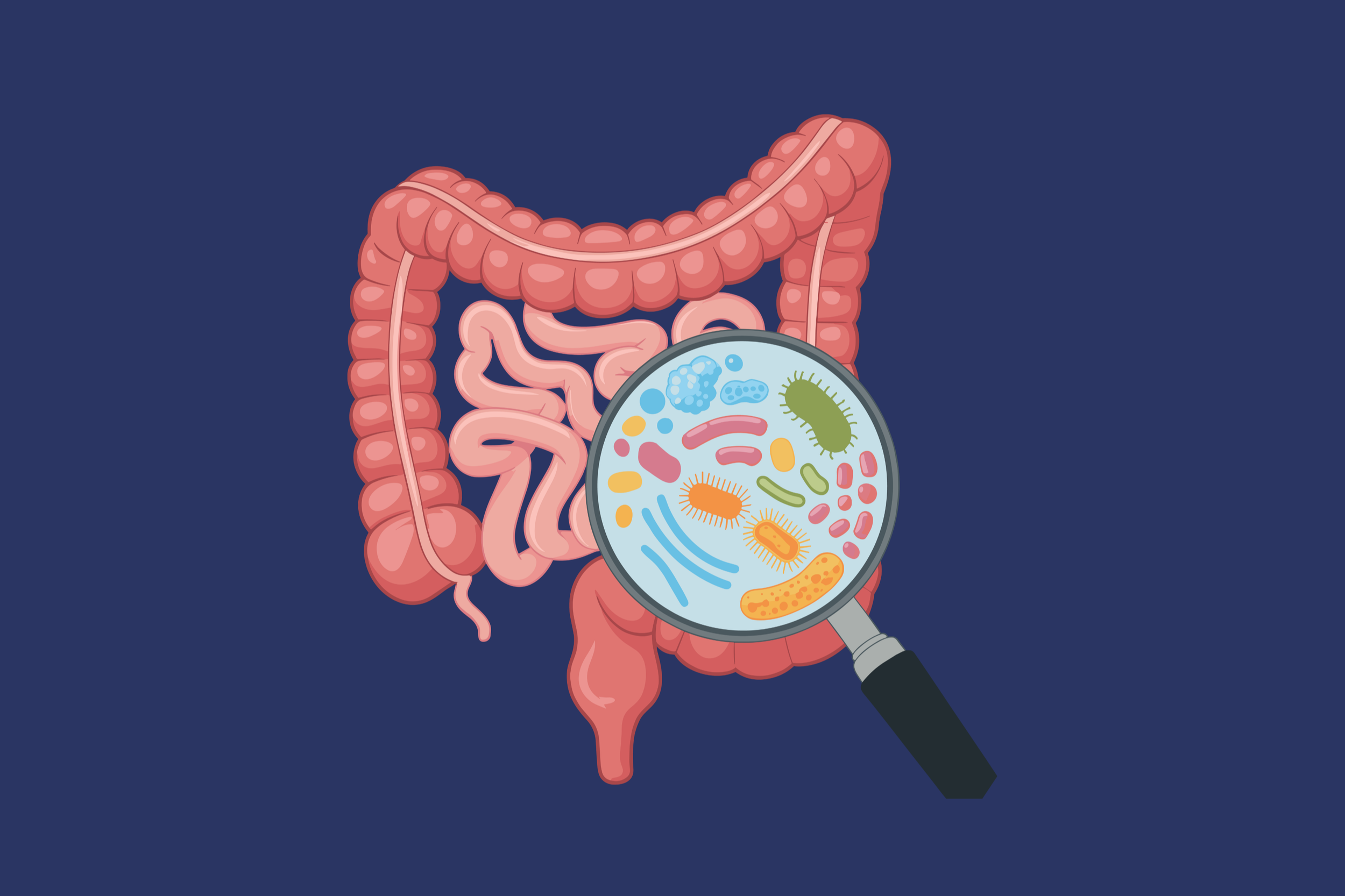 Gut Microbiome | 01: Understanding the invisible ecosystem that shapes our health
