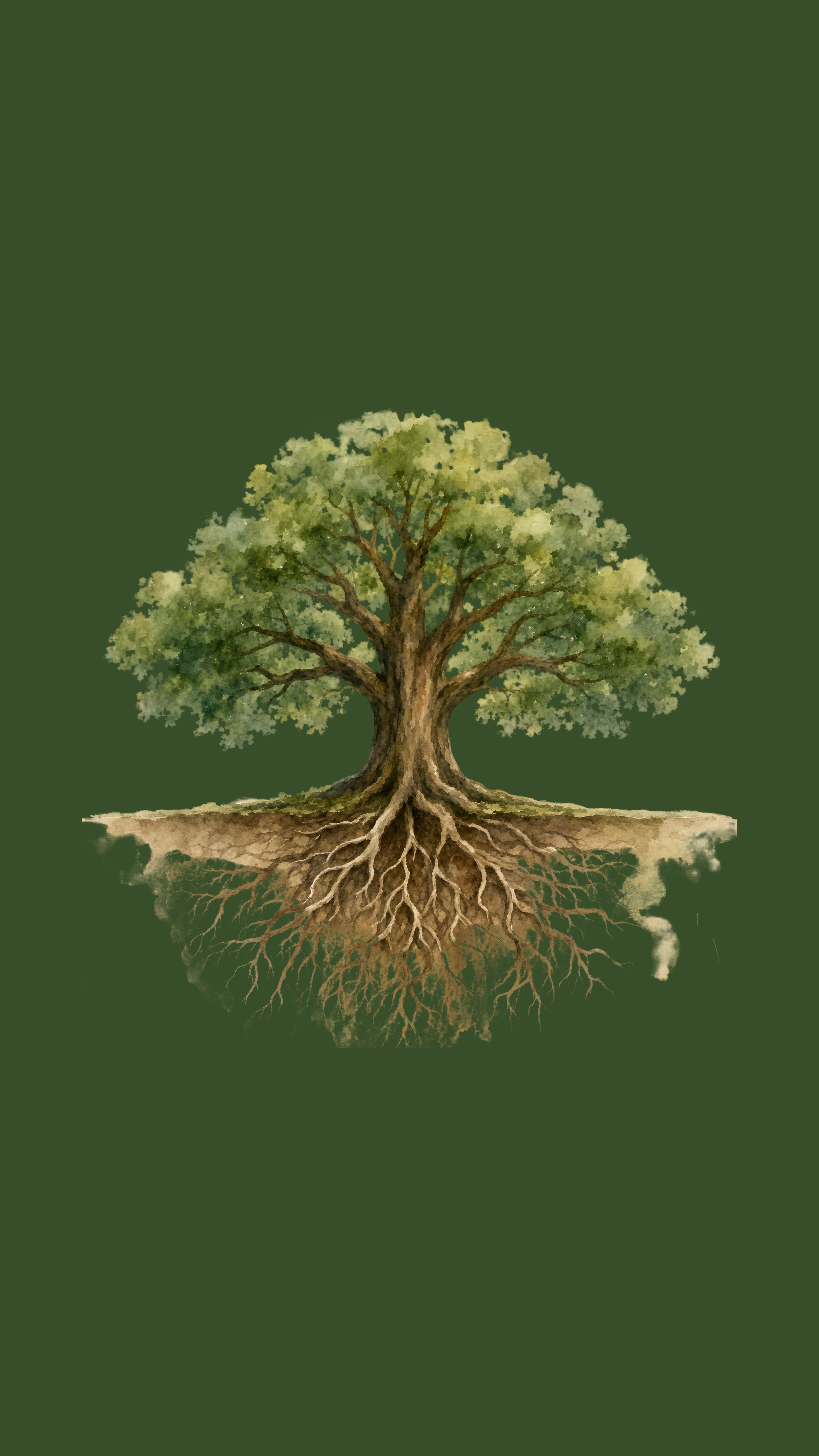 A watercolor illustration of a mature oak tree, its broad canopy in full leaf above ground and its deep, sprawling root system exposed in cross-section below. set against a dark forest green background.