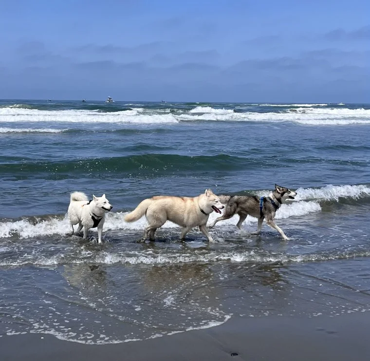 Beach 1.jpg