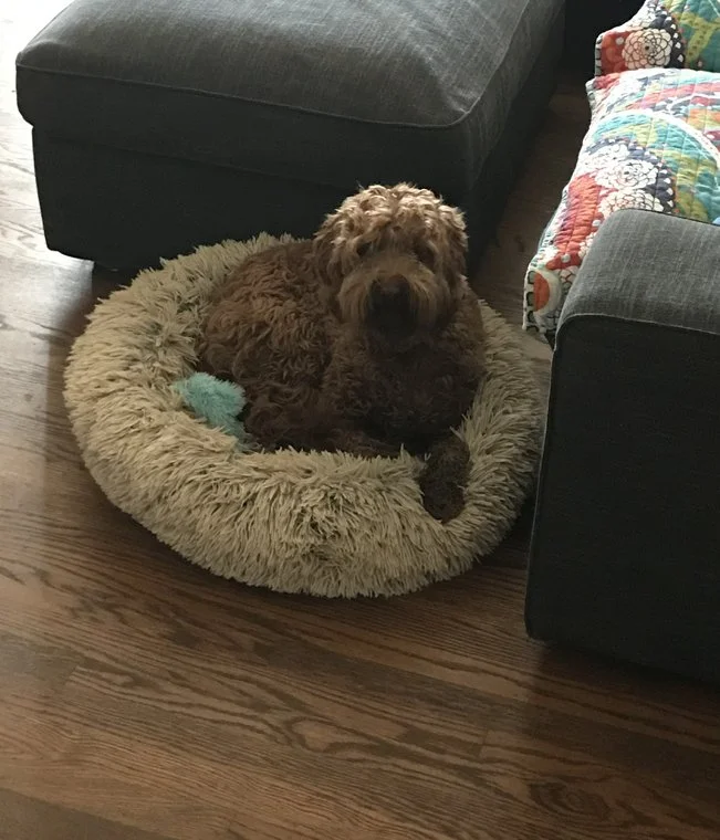 Cookie