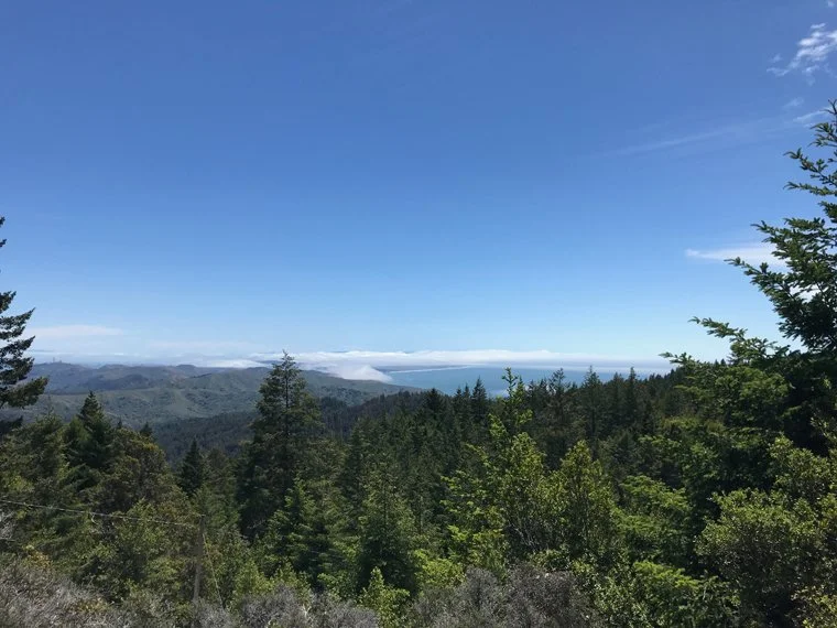 bay view 3.jpg