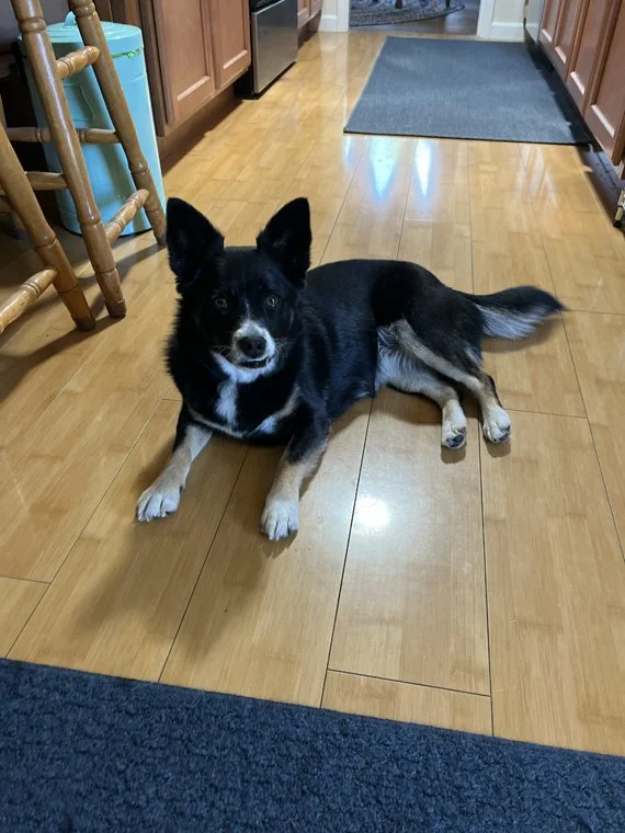 Zora
