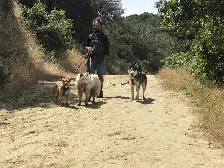 Nube, Luna, Harper & Tito.jpg