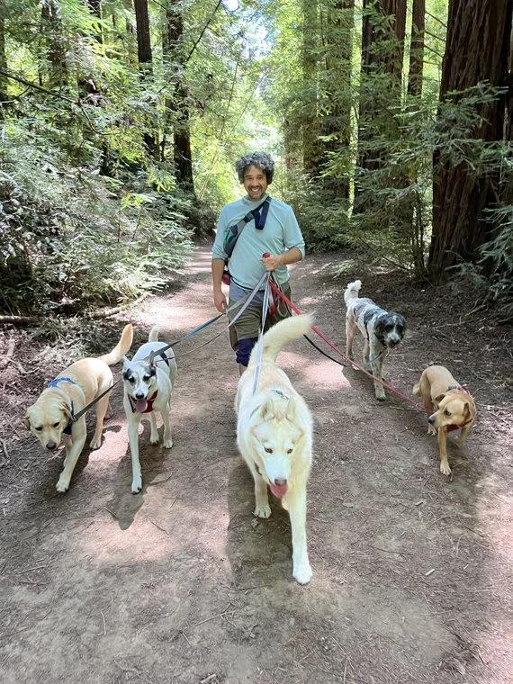 hiking w_dogs 3.jpg