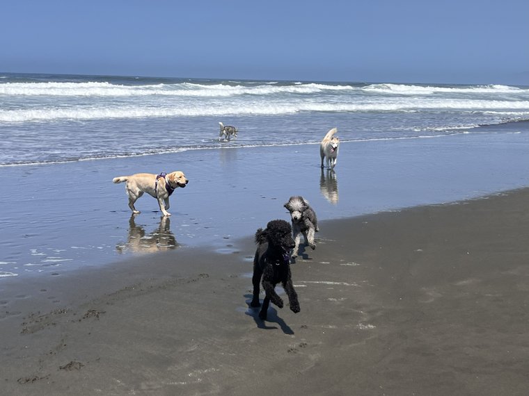 beach 3.jpg