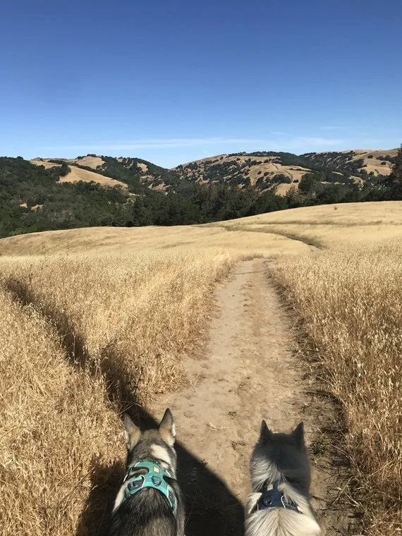 briones 3.jpg